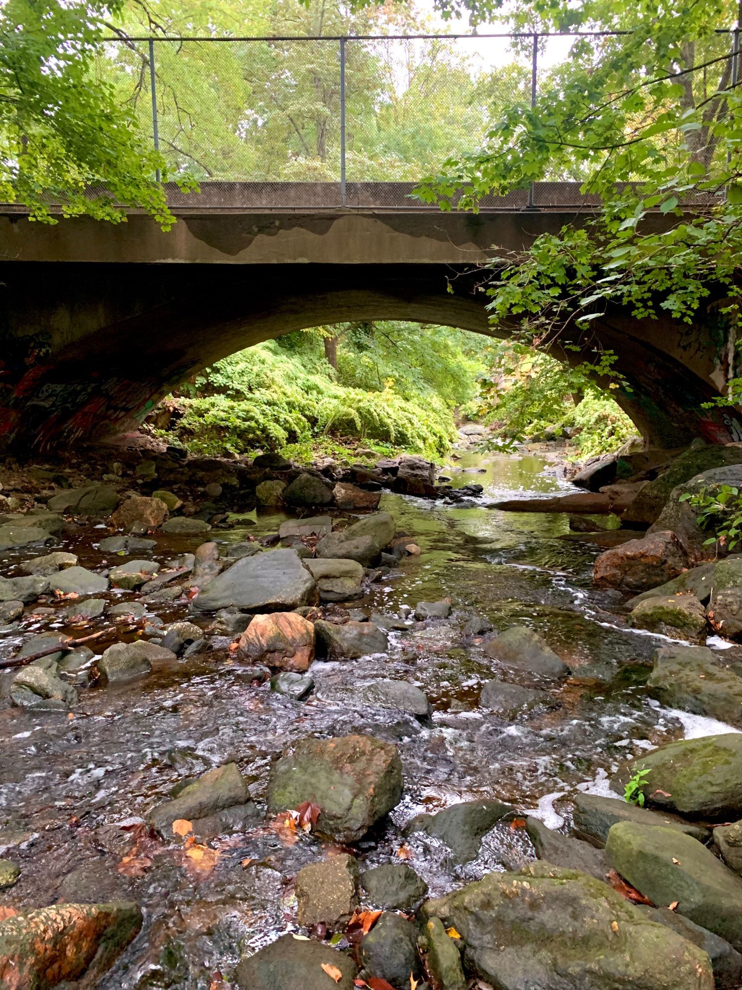 A narrow stream flows swiftly over rocky terrain, running under the bridge before feeding into a stream pool on the other side. The area is surrounded by vibrant green trees and dense bushes.