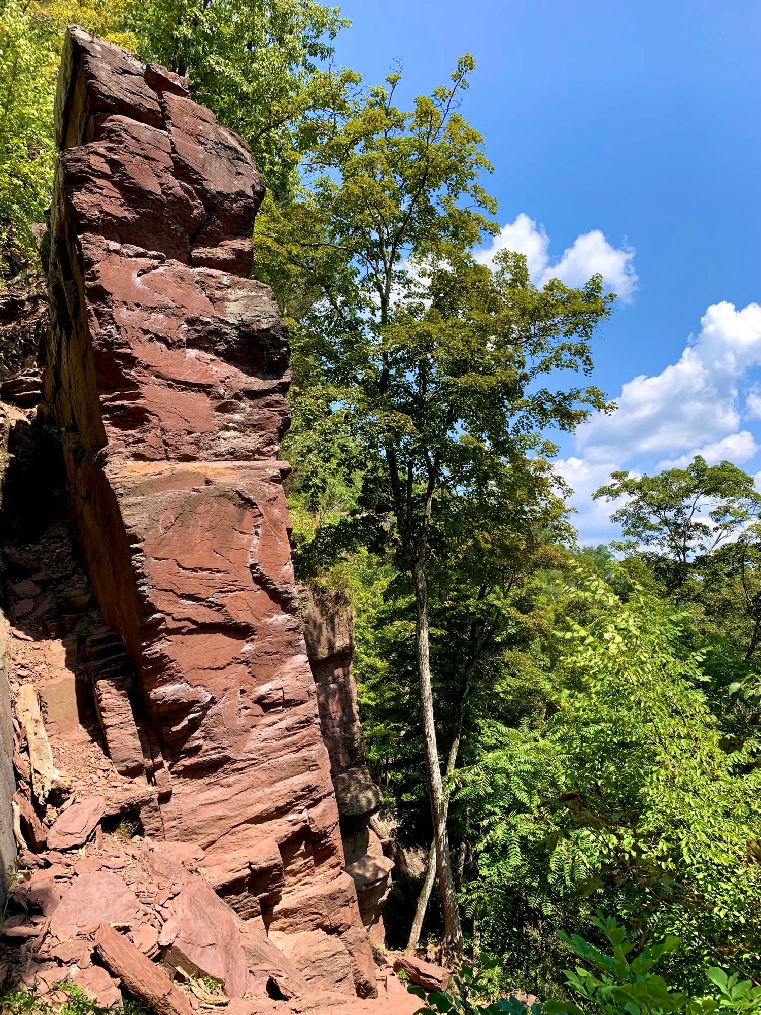 Huge red rock formations and boulders stand beside tall trees, with the blue sky in the background.