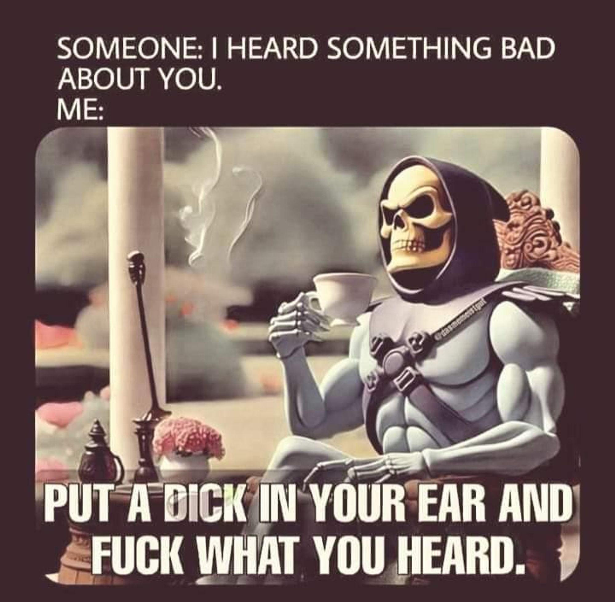 picture of Skeletor sipping tea. Caption reads "Someone: I heard something bad about you." Me: "Put a dick in your ear and fuck what you heard."