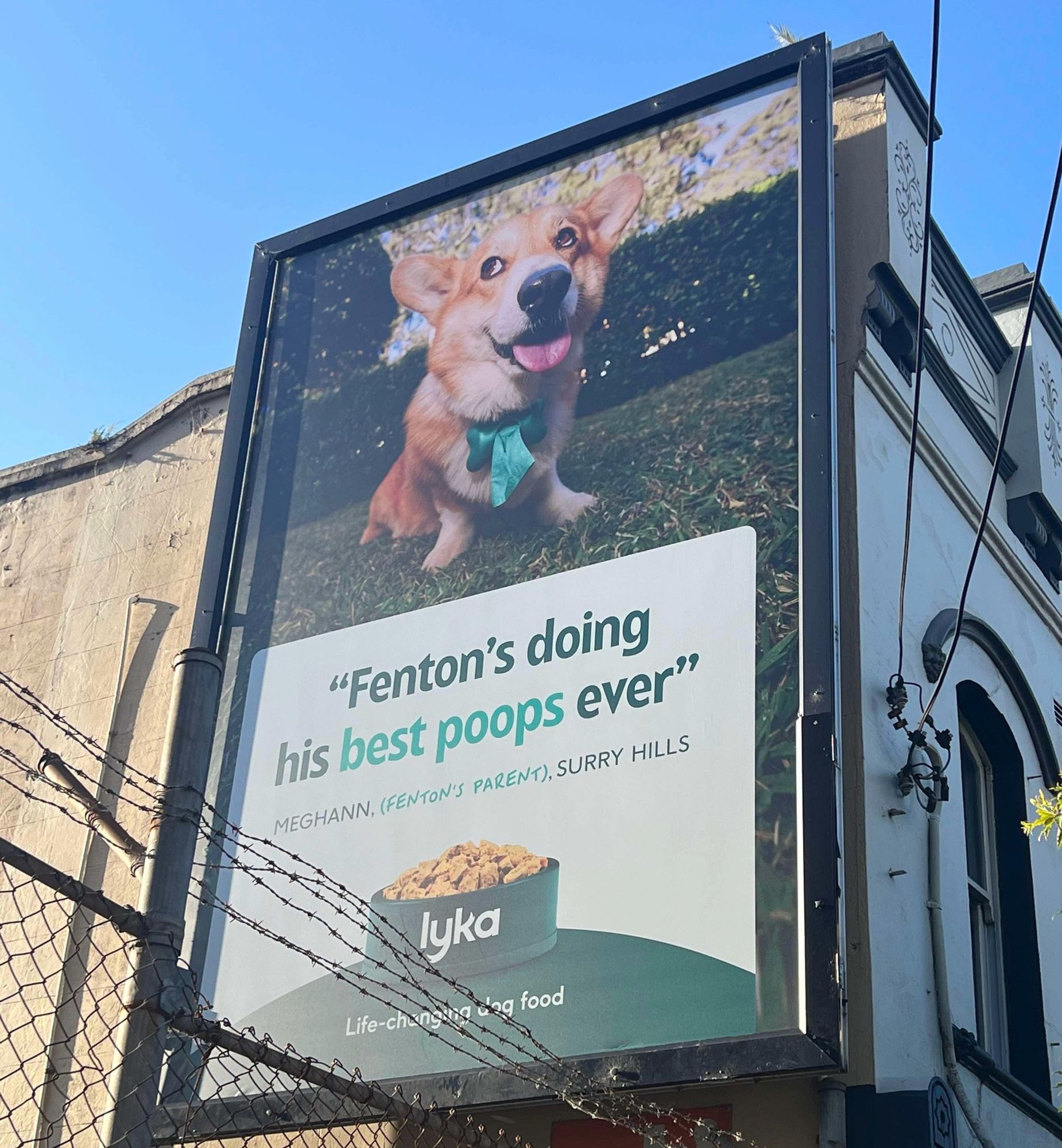 Australian dog food advert: “Fenton’s doing his best poops ever”