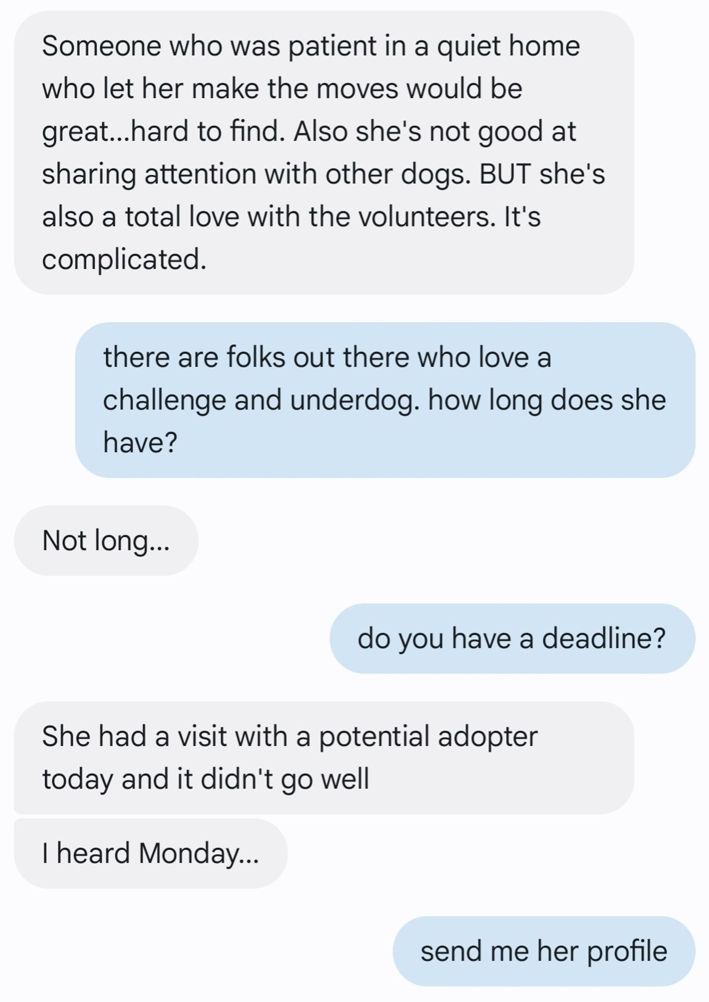 a text exchange with my bff, who is losing sleep over a dog at the pound.

her: Someone who was patient in a quiet home who let her make the moves would be great...hard to find. Also she's not good at sharing attention with other dogs. BUT she's also a total love with the volunteers. It's complicated. 

me: there are folks out there who love a challenge and underdog. how long does she have? 

her: Not long... 

me: do you have a deadline? 

her: She had a visit with a potential adopter today and it didn't go well 

her: I heard Monday... 

me: send me her profile