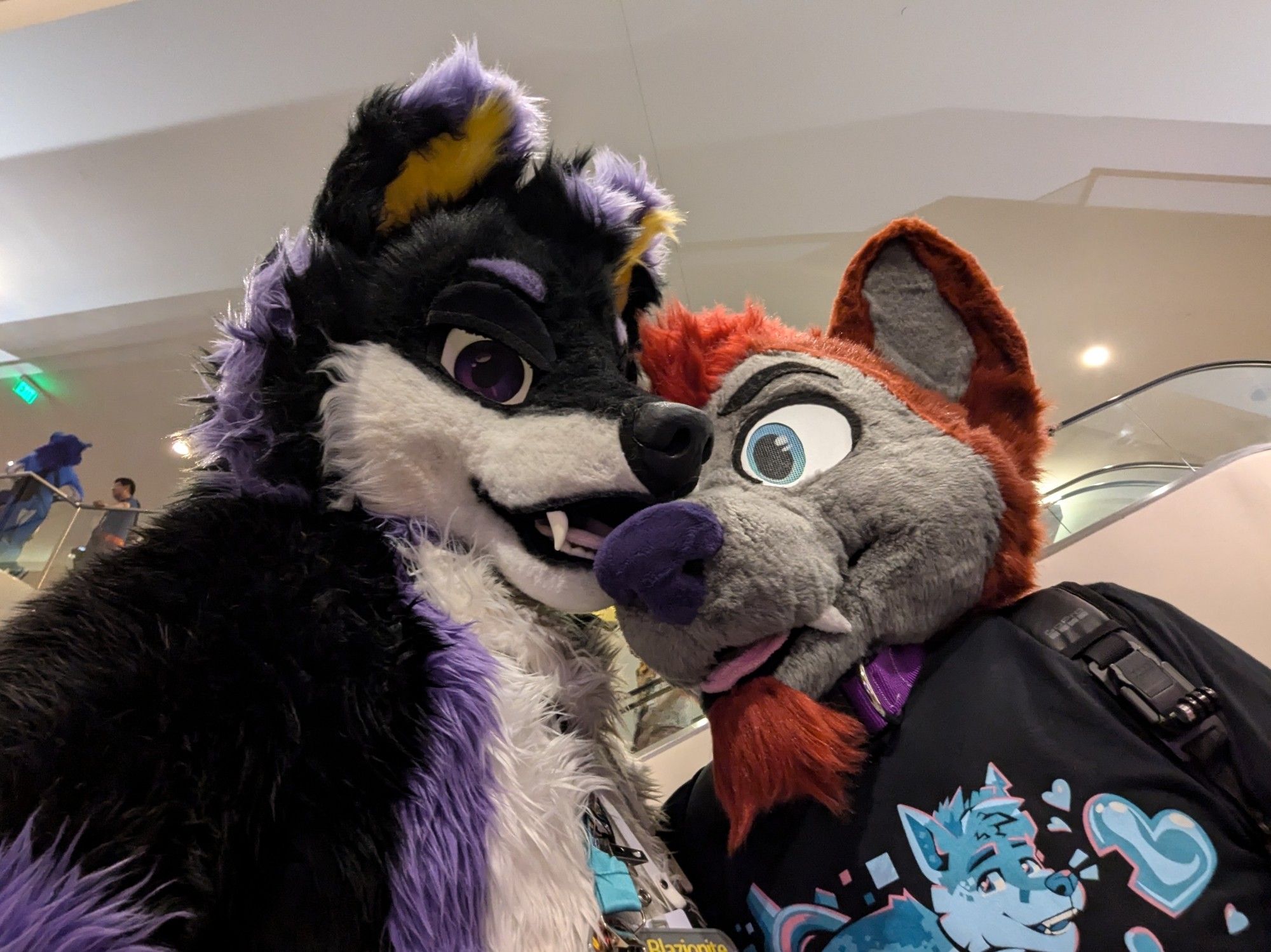 A wolf fursuiter with his mouth on a husky fursuiter's muzzle