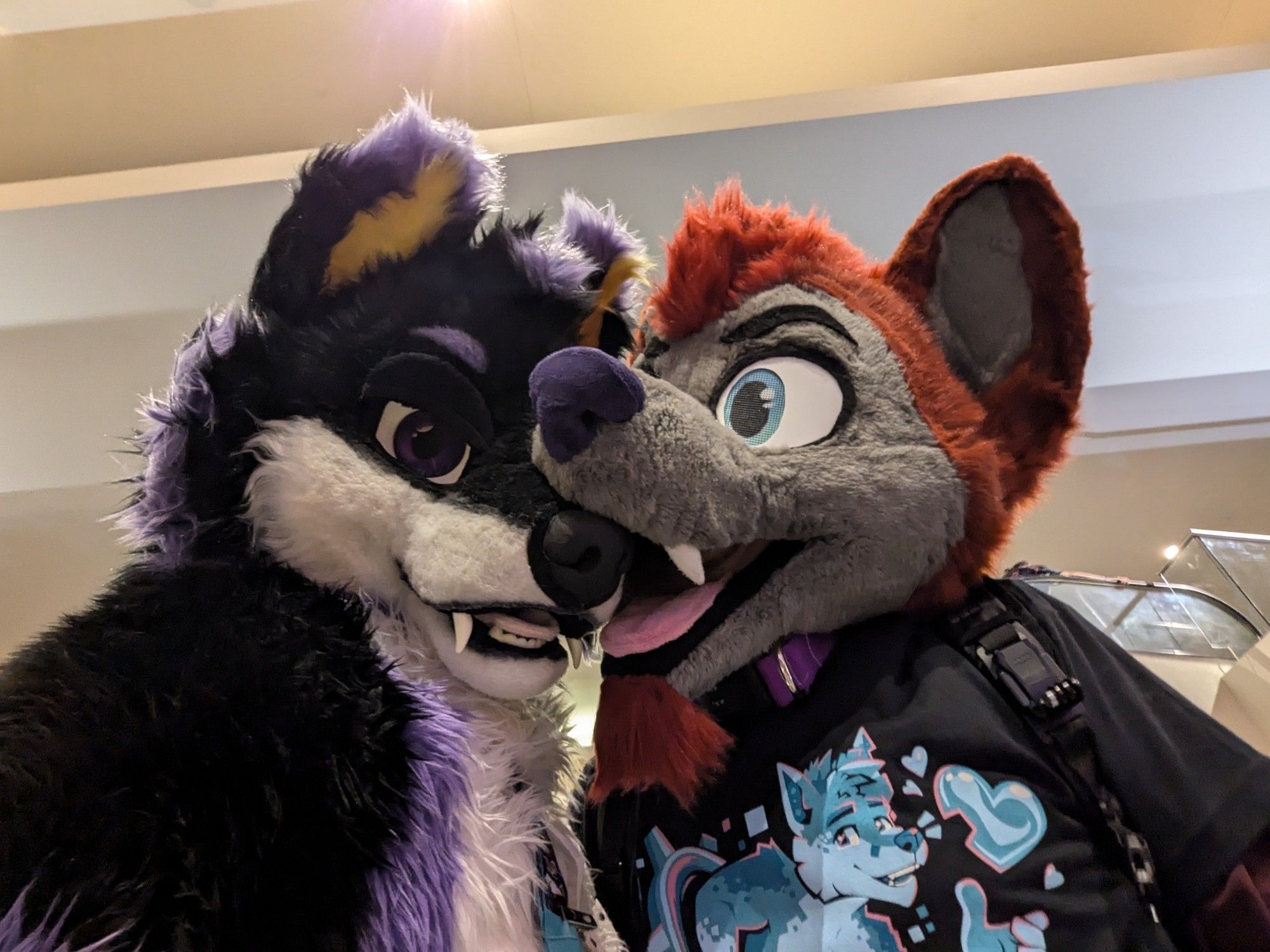 A husky fursuiter with his mouth on a wolf fursuiter's muzzle