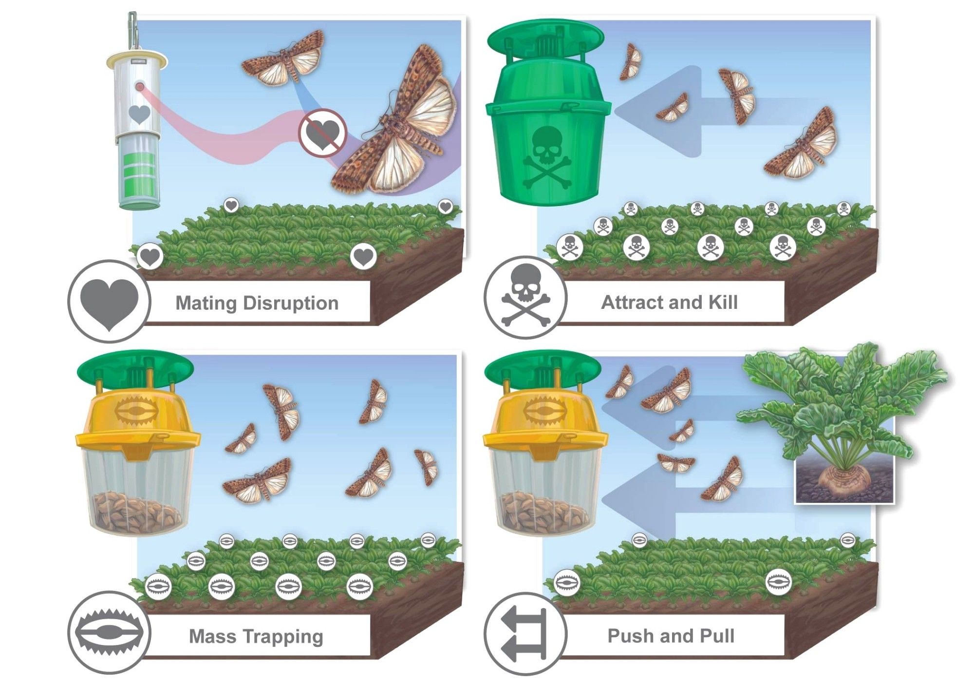 Original research illustration depicting IPM strategies including pheromone disruption and trapping.