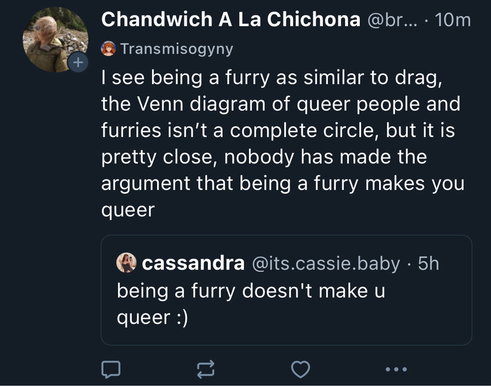 @breadglove.pm
label (transmisogyny)

I see being a furry as similar to drag, the Venn diagram of queer people and furries isn't a complete circle, but it is pretty close, nobody has made the argument that being a furry makes you queer