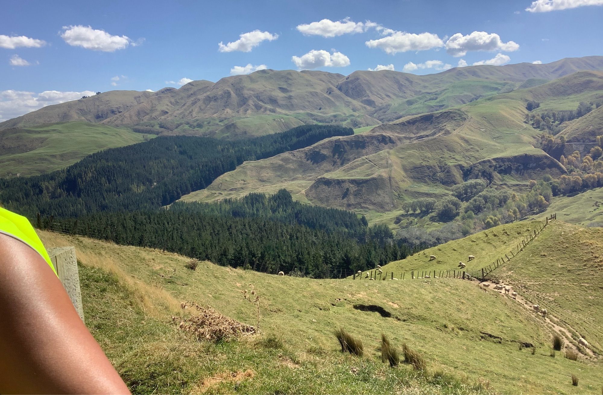 Green hillslope in a New Zealand valley, shows an old mass-wasting hollow, and some uplift terraces