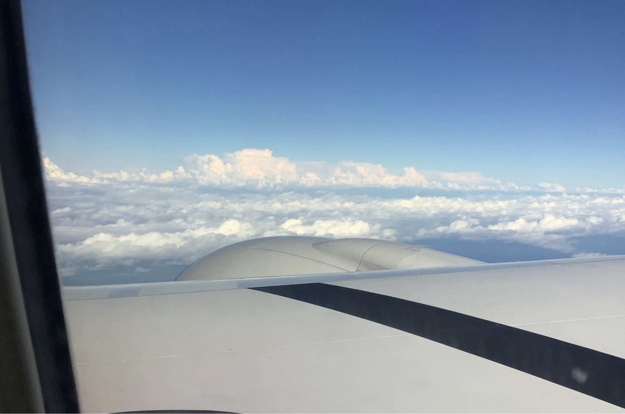 view from a plane window over the wing, looking at an expanse of high white clouds. I bet the New Zealand Alps are under there