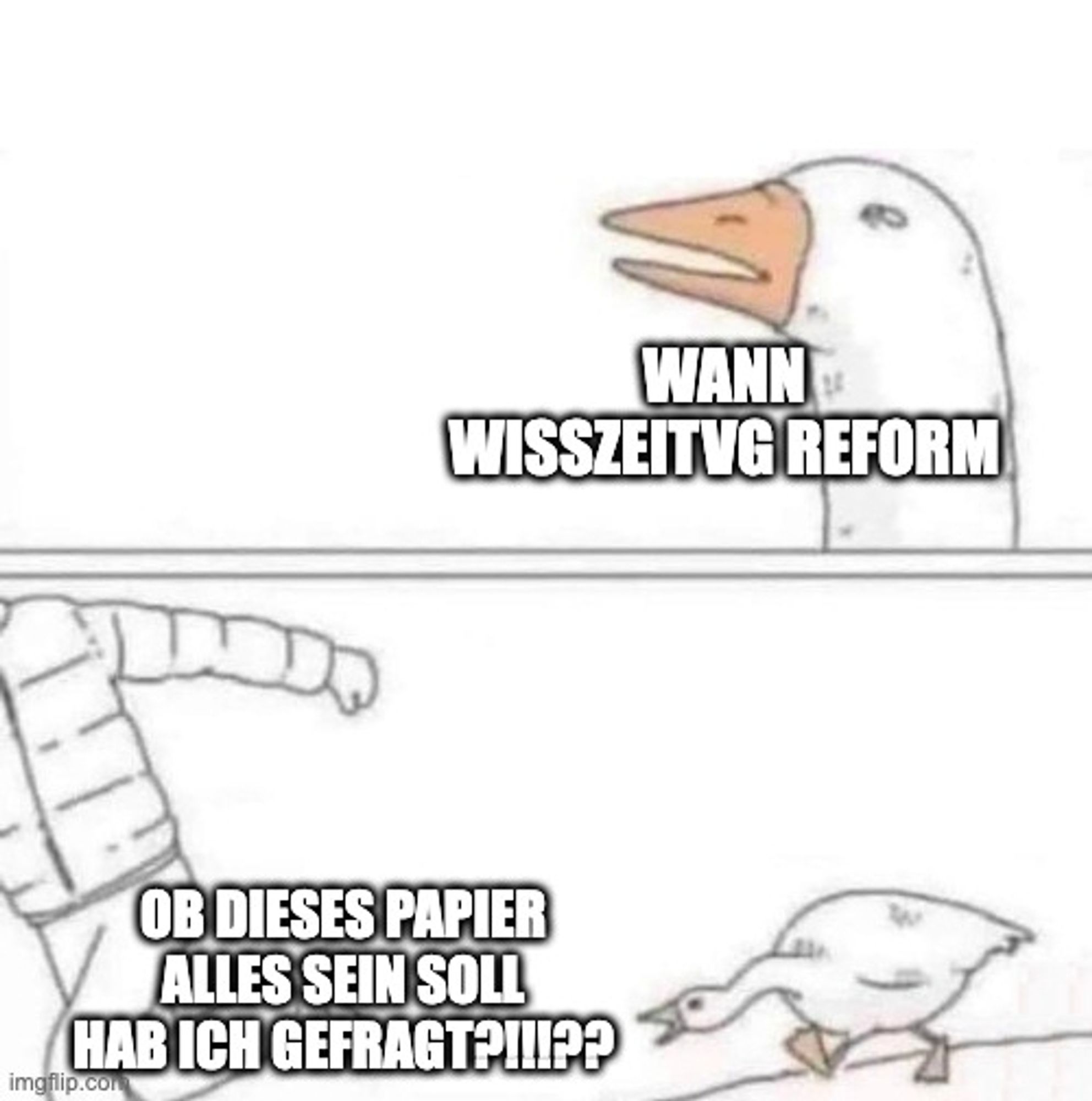 Gänse-Meme: oben Kopf einer weißen Gans mit skeptischem Blick, darunter in weißen Großbuchstaben der Text: "Wann WissZeitVG-Reform?" - unten gezeichnetes Bild von einer weglaufenden Person links und einer nach ihr schnappenden Gans rechts, links in Großbuchstaben der Text: "Ob dieses Papier alles sein soll hab ich gefragt?!"