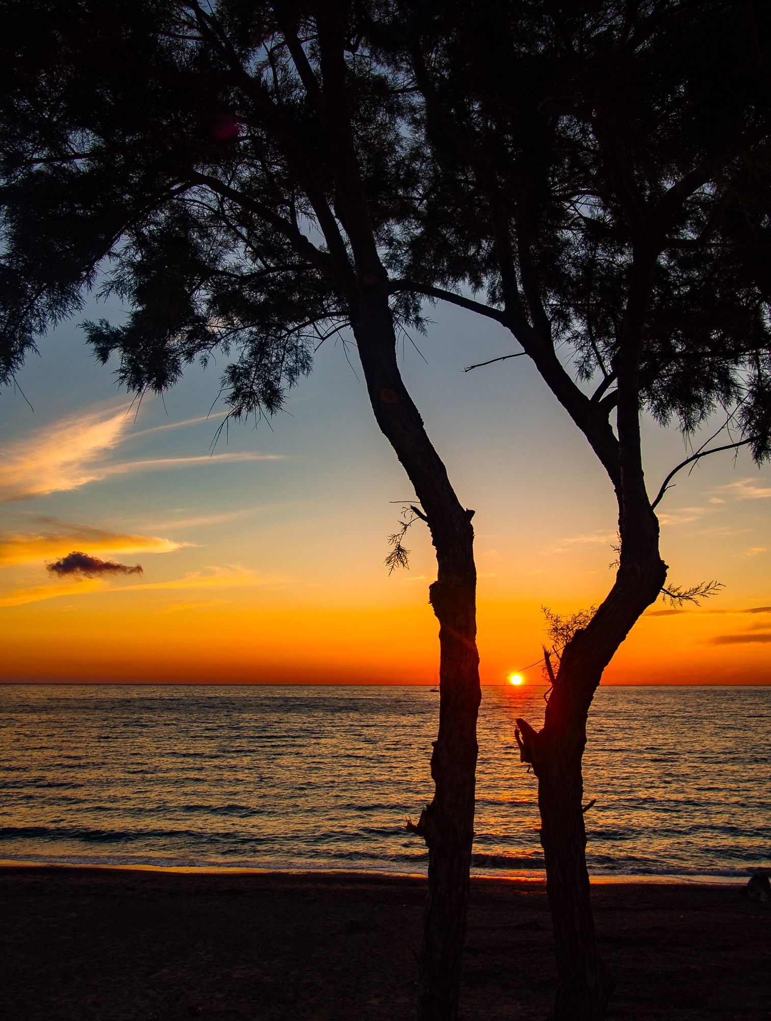 Zwei Pinien stehen im Vordergrund nah zusammen als Silhouette gegen das dahinterliegende Meer. Die untergehende Sonne scheint genau zwischen den beiden Pinien hindurch und berührt mit der Unterseite schon den Horizont. Der Himmel ist von rot über orange, gelb bis blau gefärbt. Einige Wolken sind am Himmel.