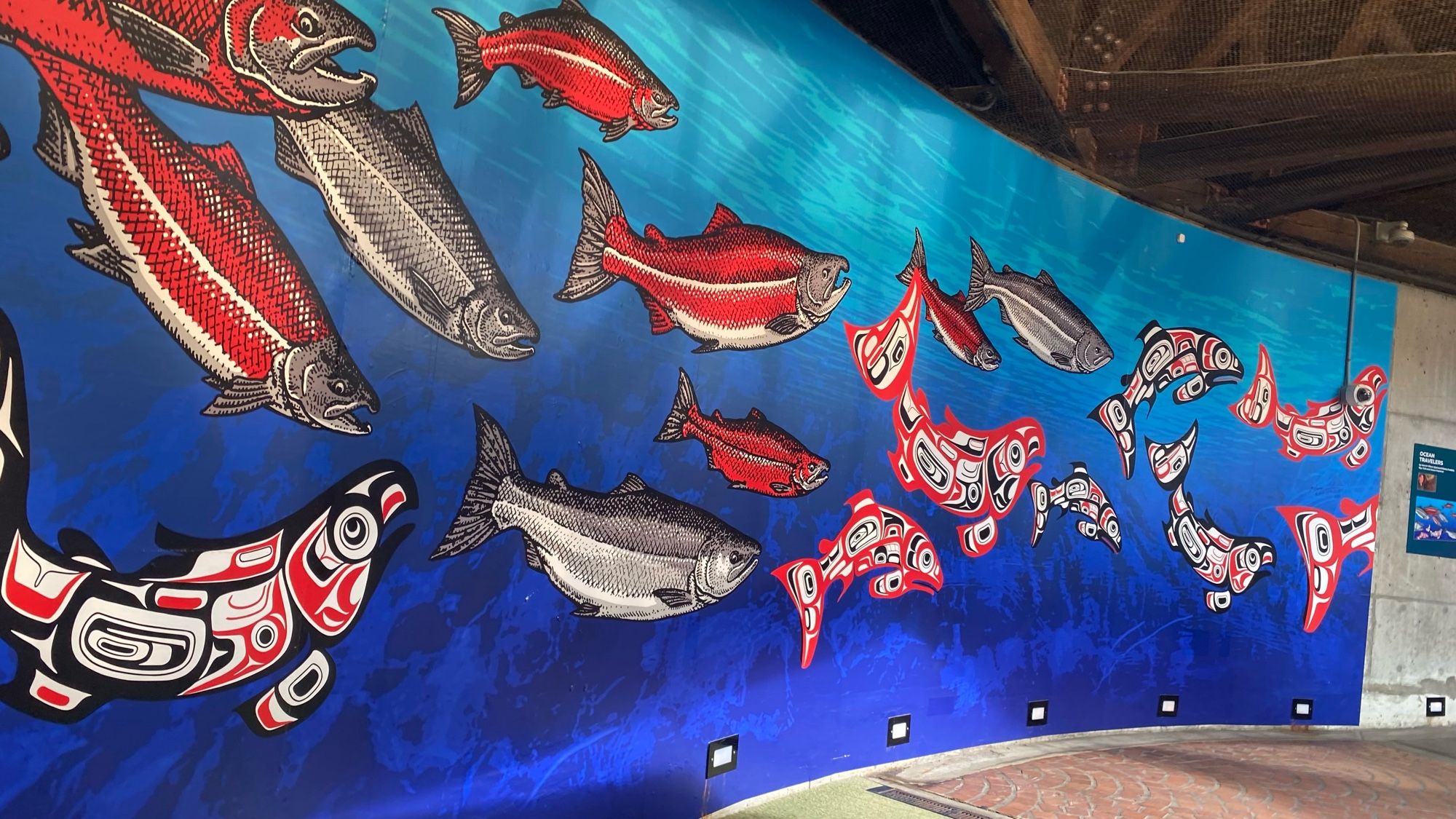 A colorful wall of fish painted more realistically and orcas painted in a Coast Salish style.