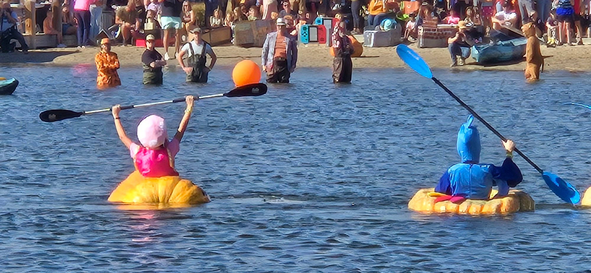 two people in costumes, floating on a lake inside giant pumpkins, holding paddles, with a crowd of onlookers