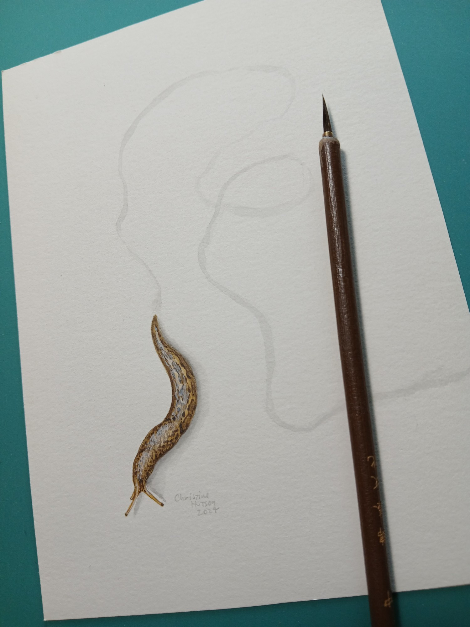 Watercolor illustration of a large spotted leopard slug on light gray paper. The slug is depicted with a light gray painted trail of mucus trailing behind it, wandering all over the paper.