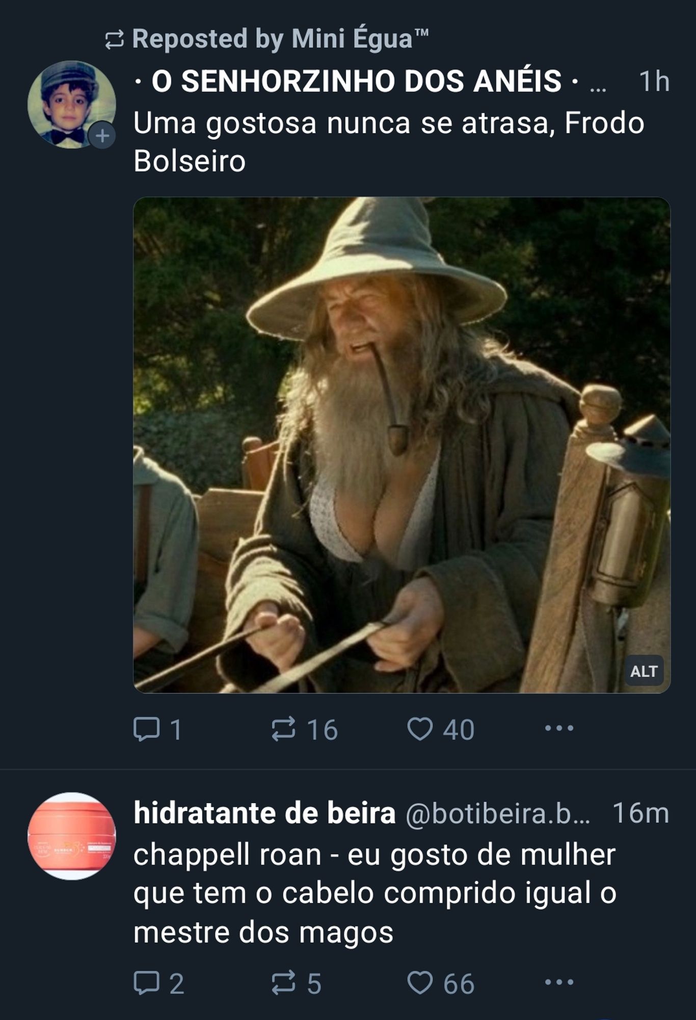 alguem postou a foto do galdalf de peitão,
logo abaixo botibeira postou: "chappell roan - eu gosto de mulher que tem o cabelo comprido igual o mestre dos magos"