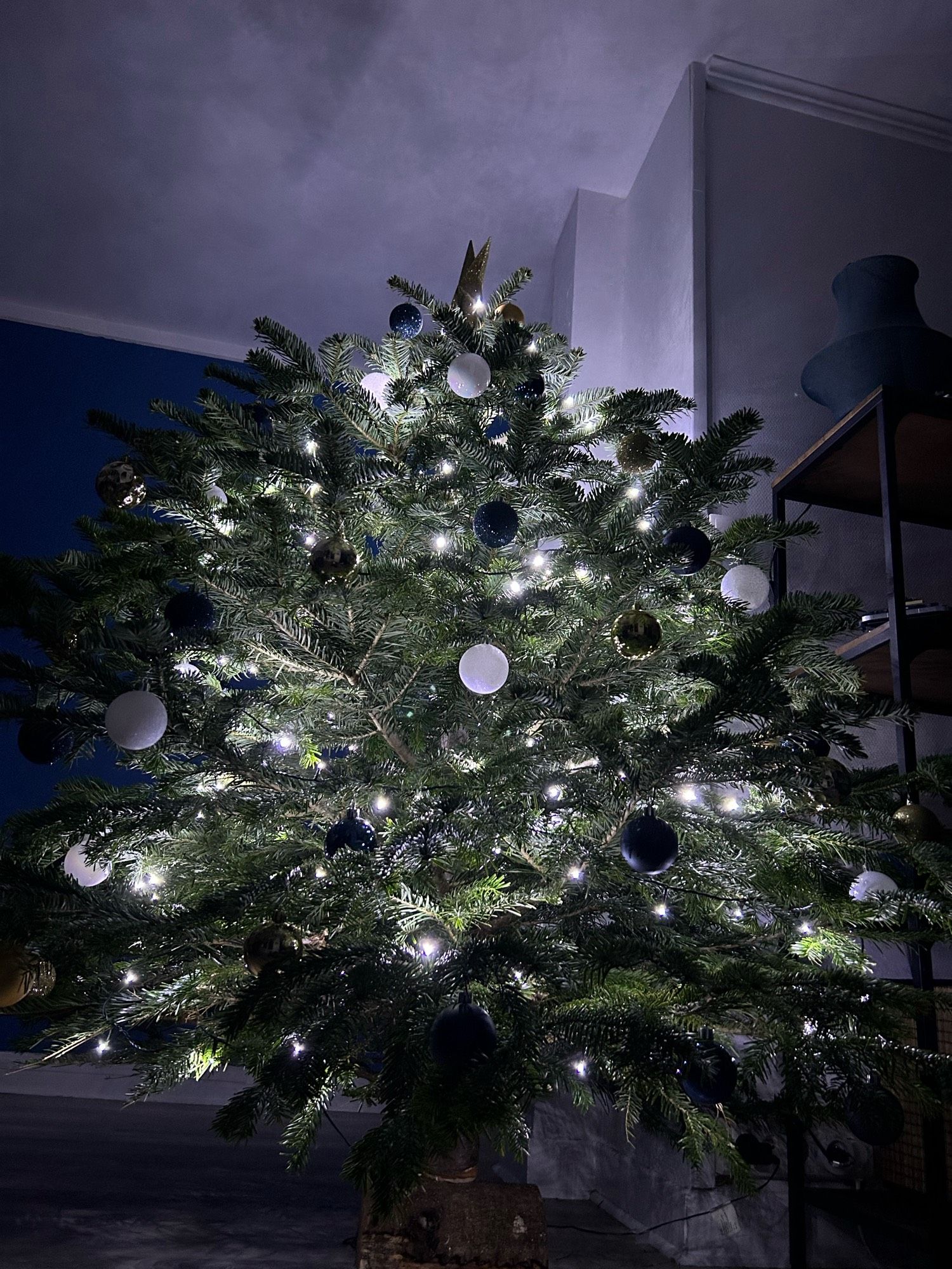 Photo d’un sapin de Noël décoré et allumé vue de dessous