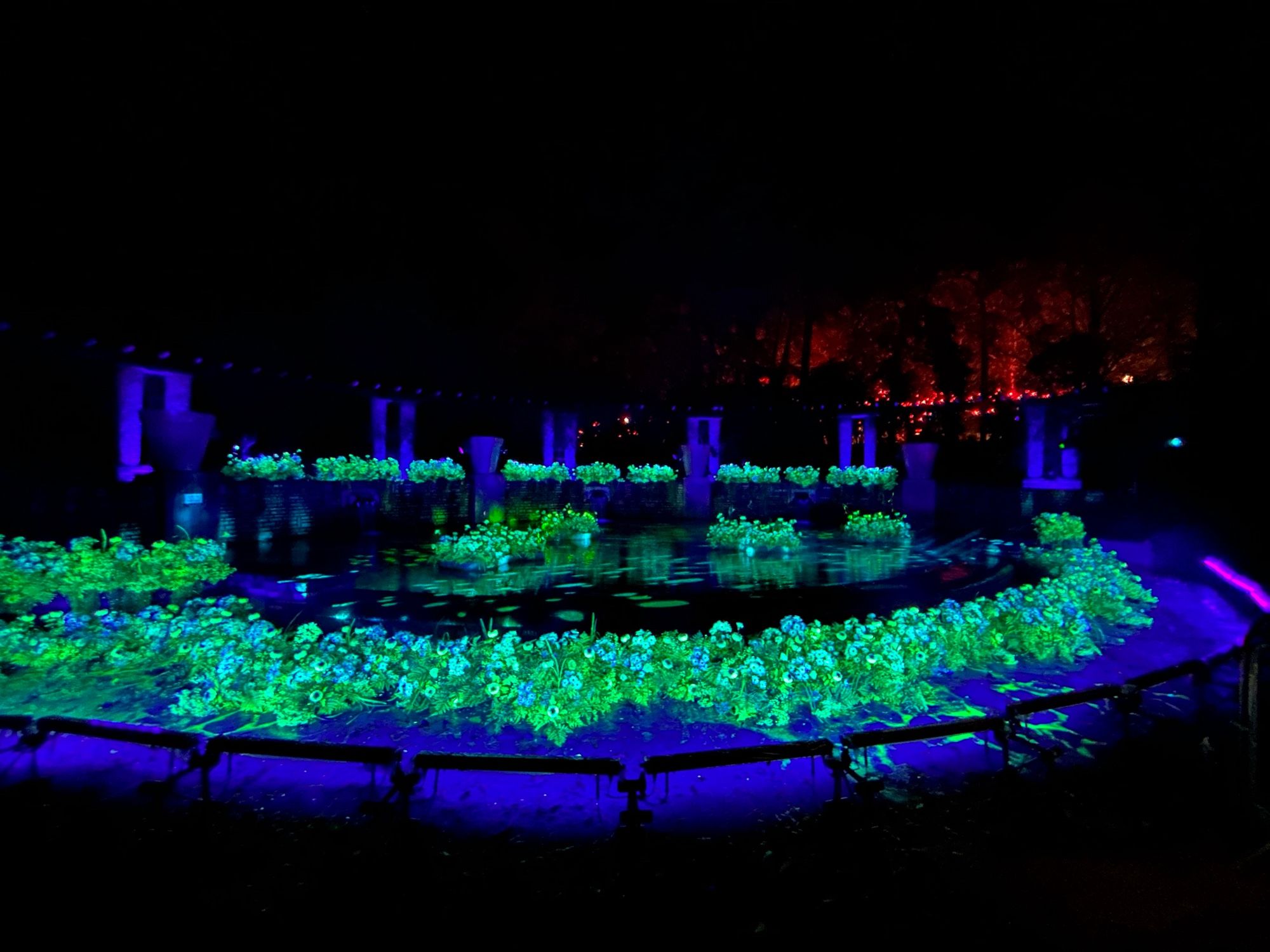 Installation lumineuse de la fête des lumières de Lyon au parc de la tête d’or, des fleurs fluorescentes sont installés autour d’une fontaine.