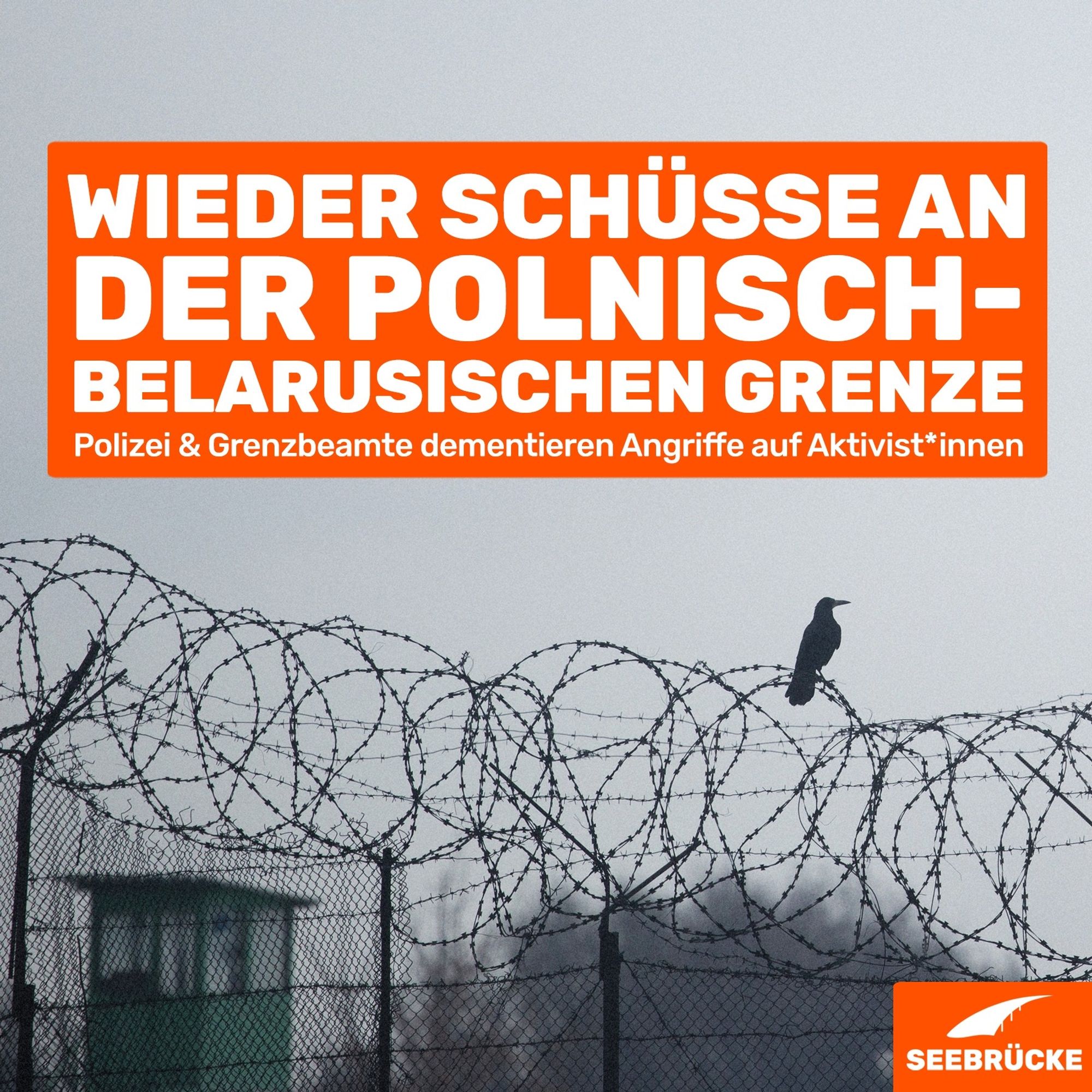 Photo of a barbed wire fence. An orange box reads "Shots fired again at the Polish-Belarusian border. Police & border officials deny attacks on activists". In the bottom right corner is the Seebrücke logo in white on orange.