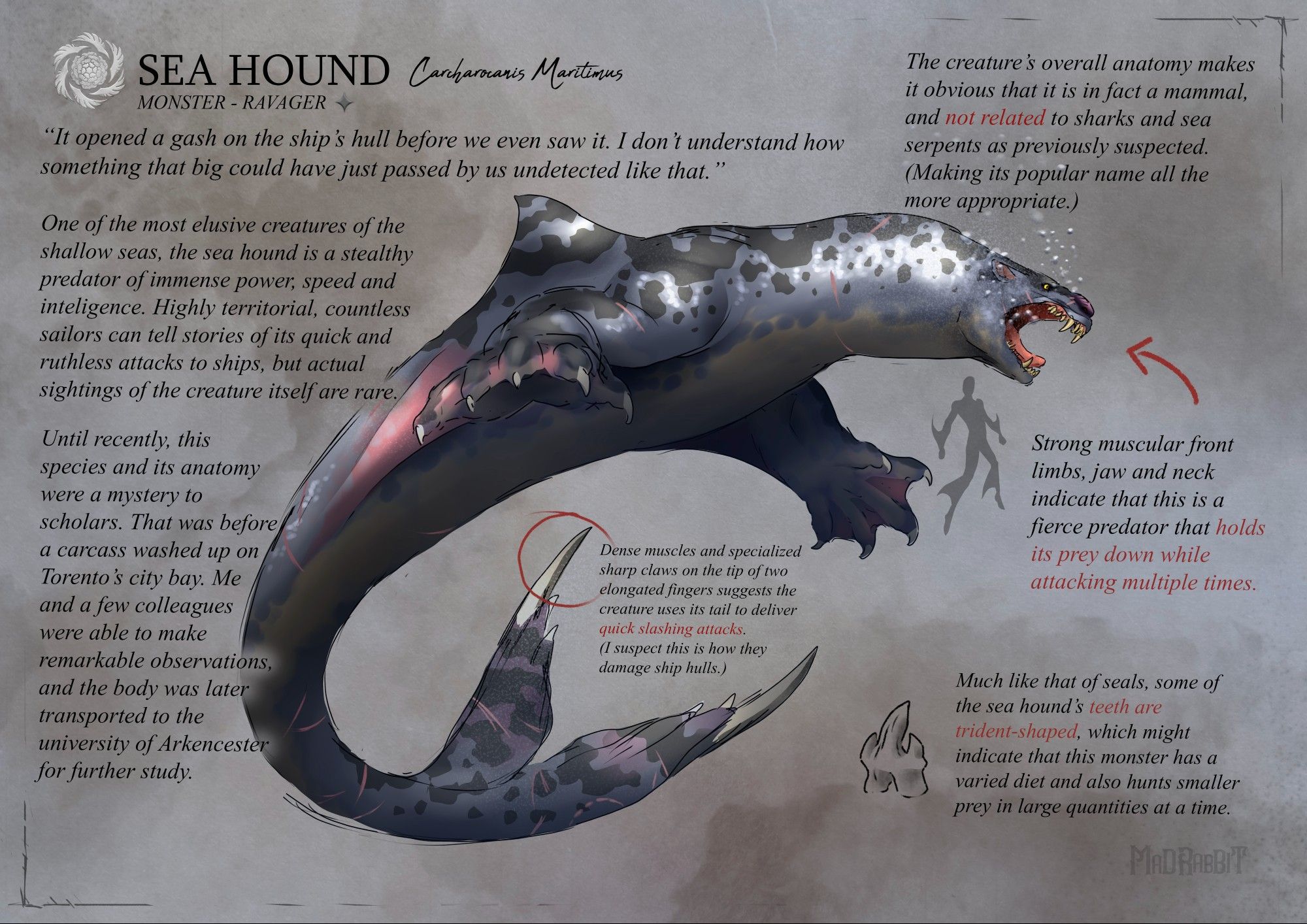 a bestiary depicting the sea hound, a seal-like creature with huge wing-like arms and sharp talons on the tip of their "tail".