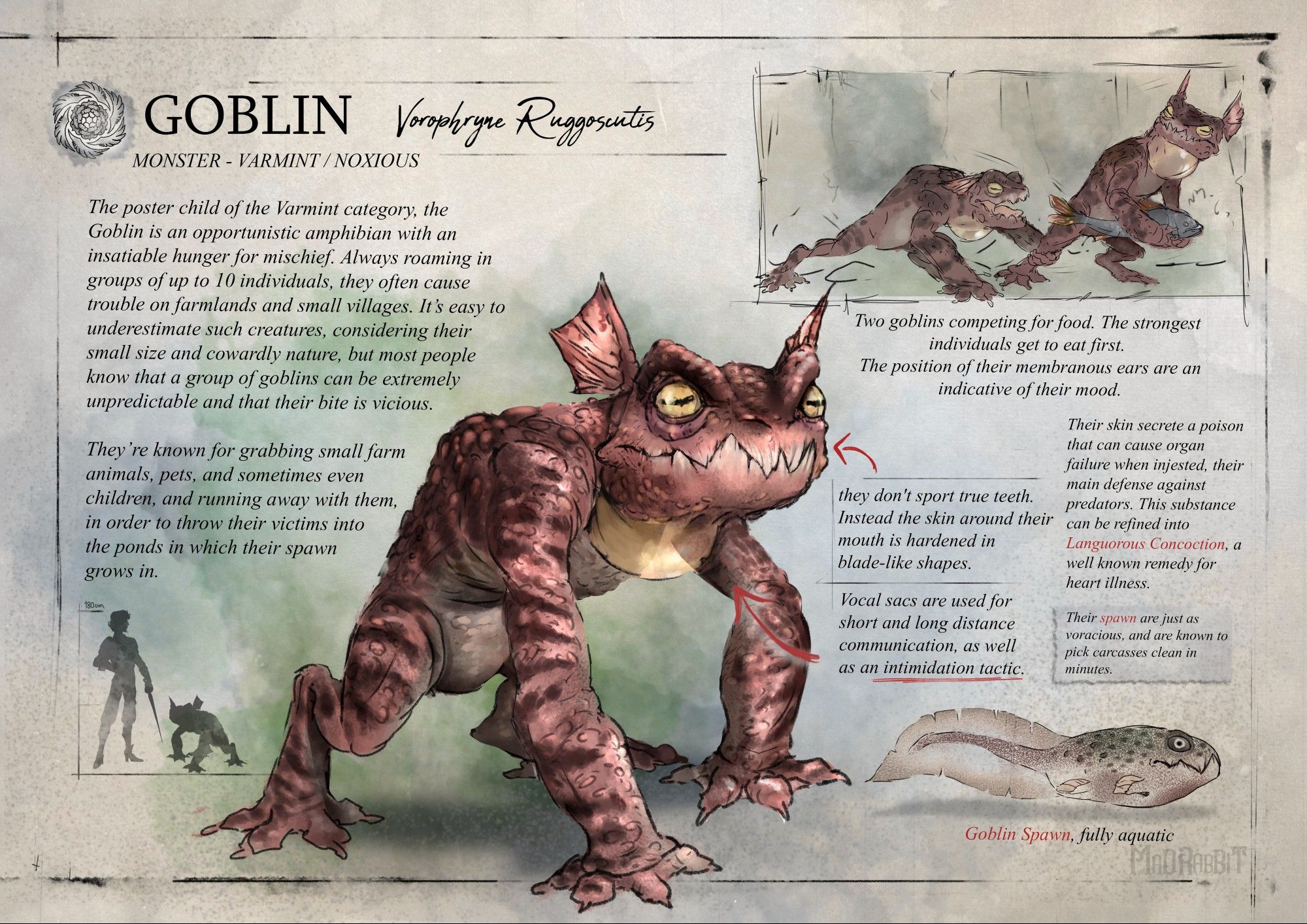 a bestiary page of a frog-like goblin. Their offspring are like pirana tadpoles