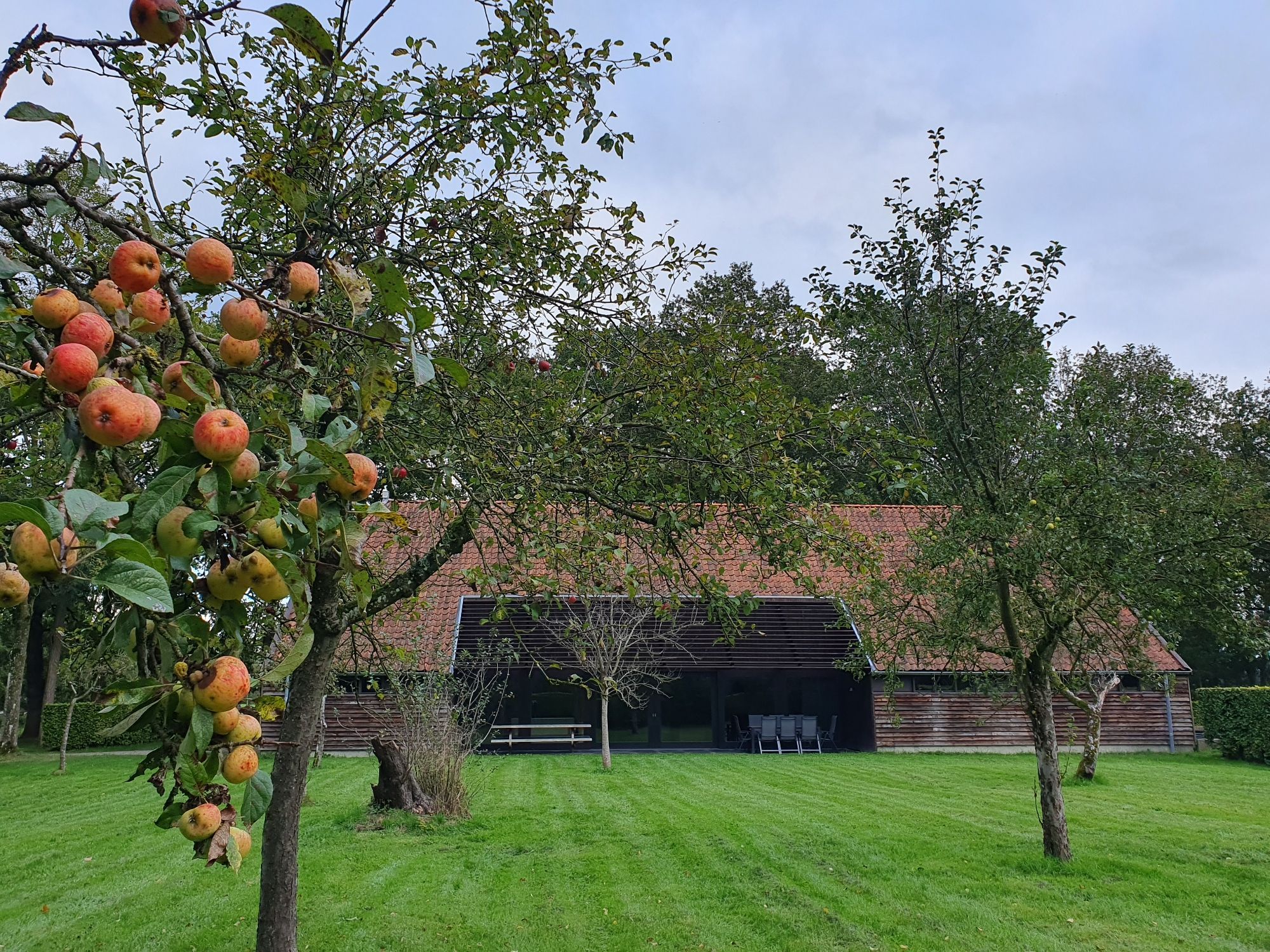 Foto van vakantiewoning De Kerkuil genomen uit de boomgaard met op de voorgrond een tak vol rode appels.
Landgoed Ennemaborg Midwolda