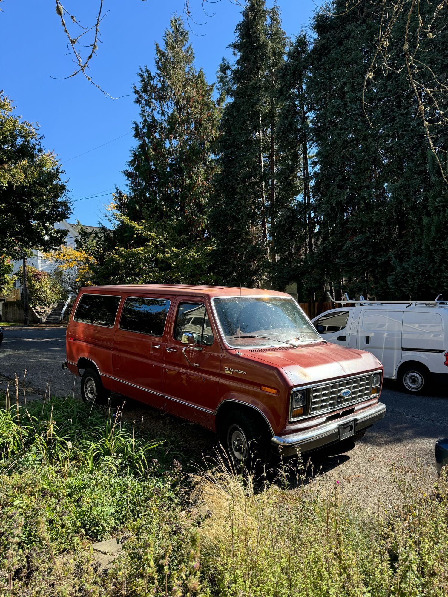 Old red van parked by bushes and tall trees