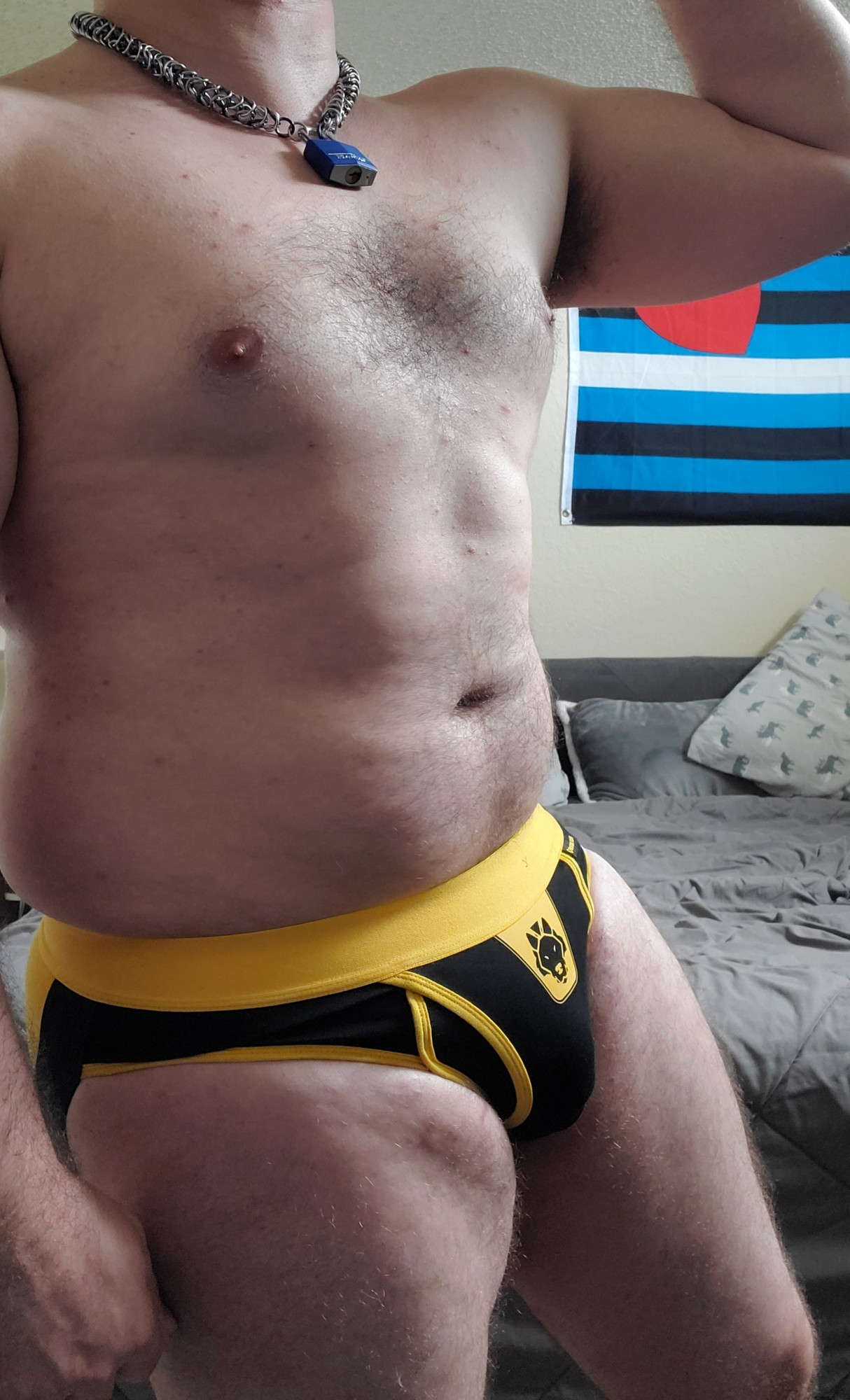 Slightly chonky 🐺 in Yellow roguefang