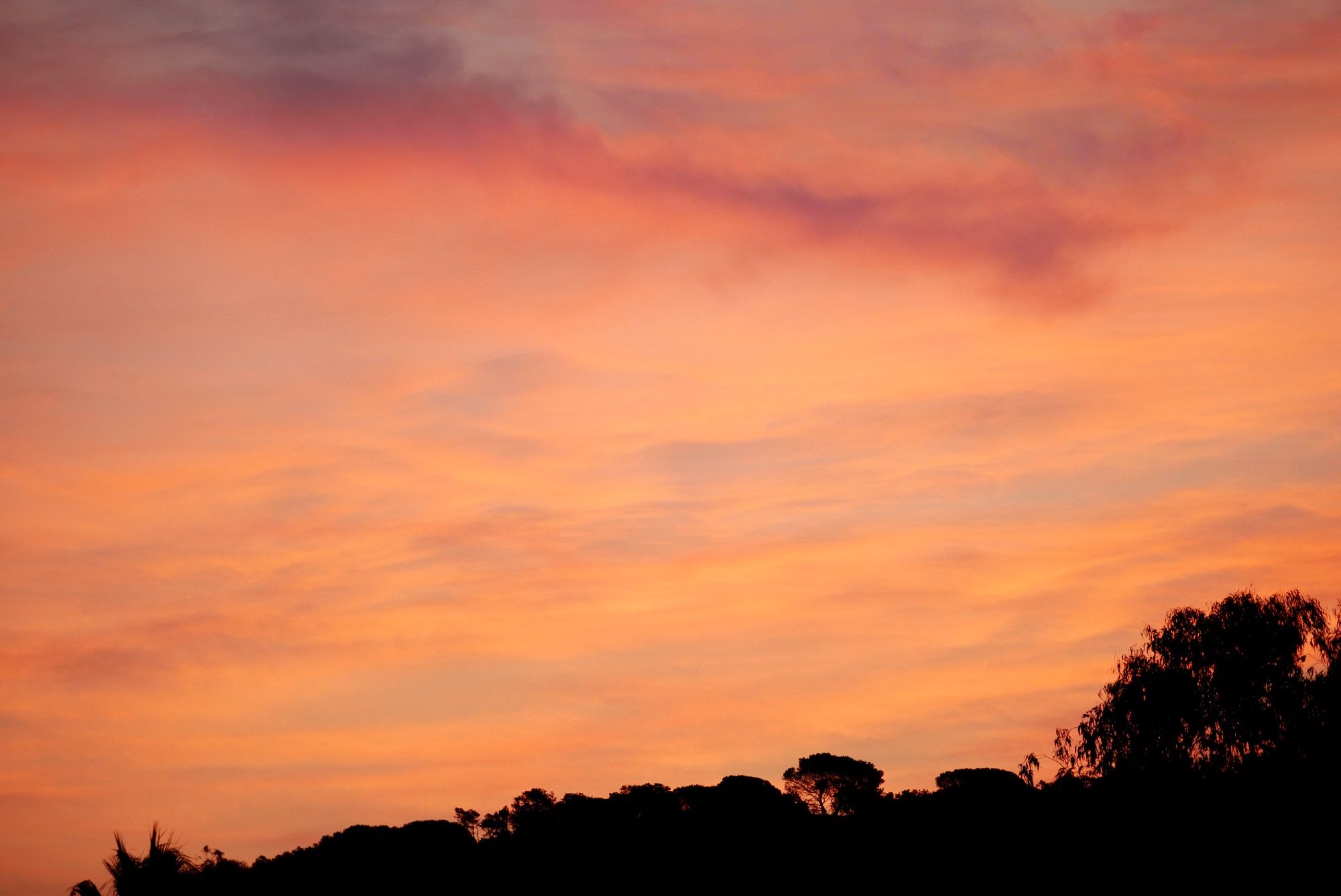 Photo de nuages légers, entièrement colorés par le lever du soleil (hors champ), les coloris rappellent la nacre (rose poudré, jaune, orangé). On aperçoit le haut d’une colline à contre jour en bas de l’image, la silhouette de quelques pins se dessine en ombres chinoises.