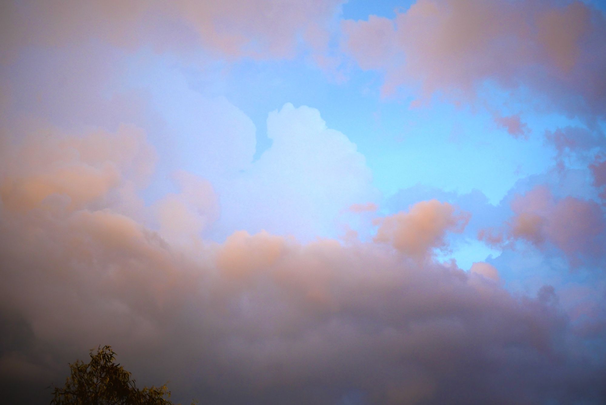 Photos de différentes couches de nuages. Au premier plan des nuages épais et teintés de gris orangé. Au second plan et au centre de l’image, une trouée de ciel bleu dans laquelle on aperçoit un nuage blanc. En bas à gauche de l’image, la cime d’un eucalyptus.