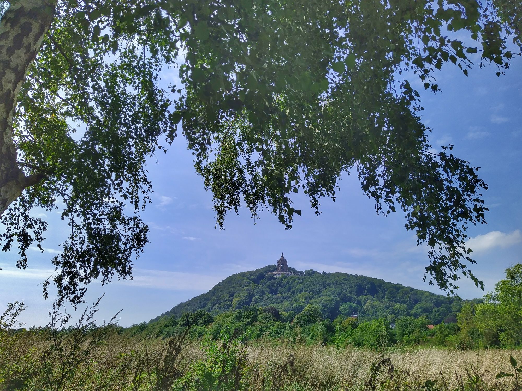 Blick durch die Zweige eines Baumes auf den Berg der Porta Westfalica mit Kaiser Wilhelm Denkmal