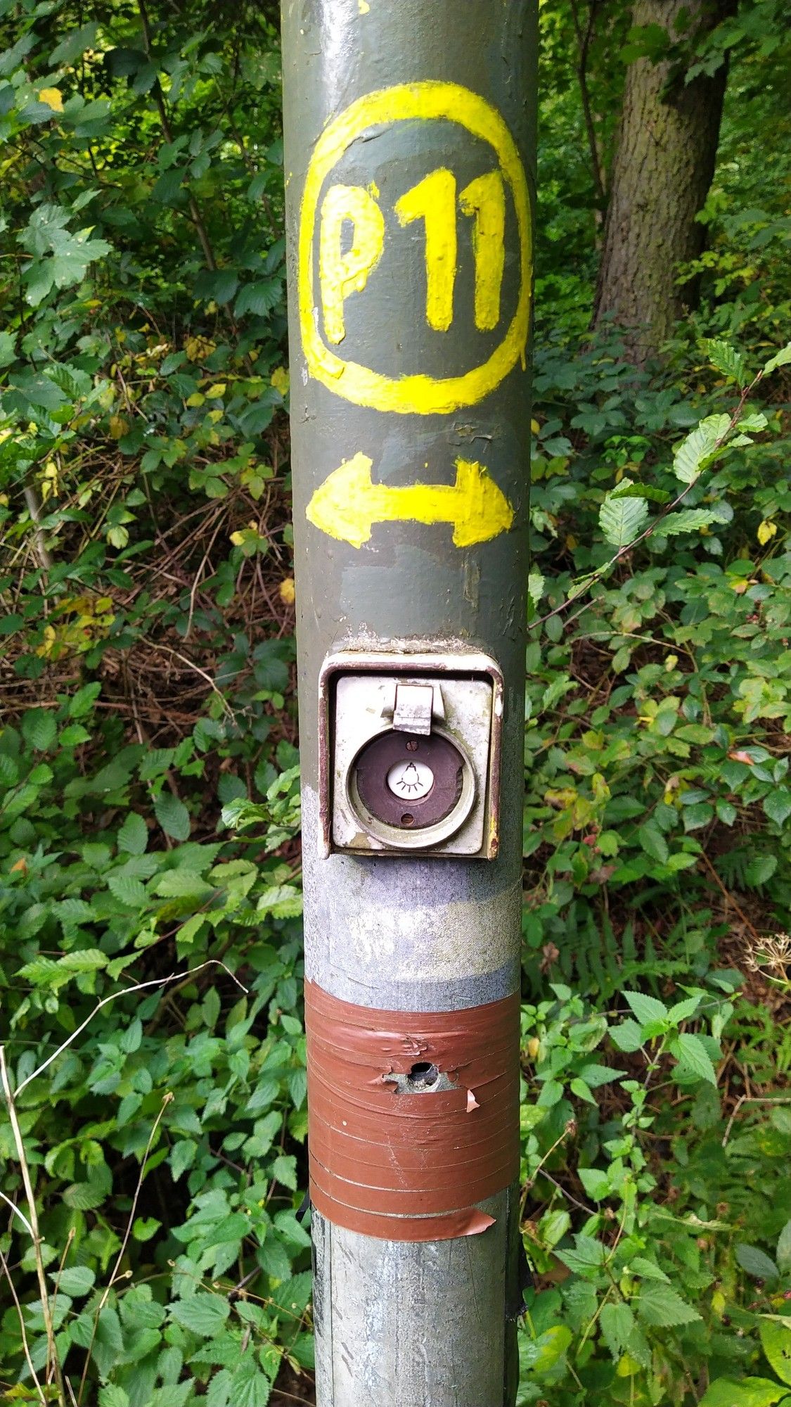 Laterne im Wald mit Wanderweg Hinweis und Schalter zum anstellen