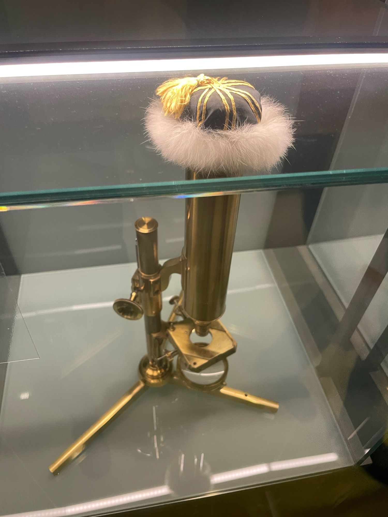 Mendel’s other brass microscope with a silly little hat on it, this one has a tassel 