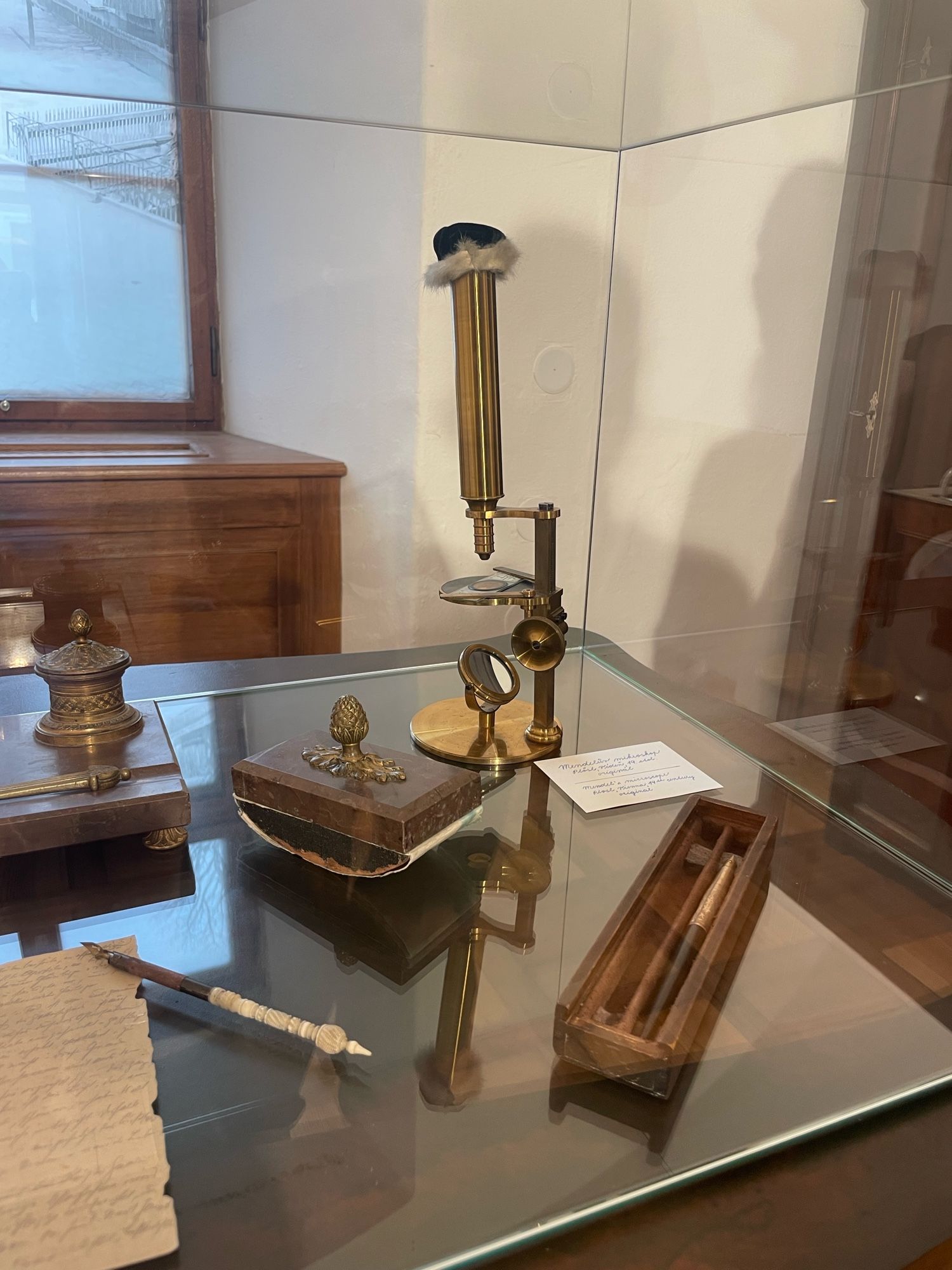 Brass microscope in mendel‘s bedroom with a silly little fur hat on it 