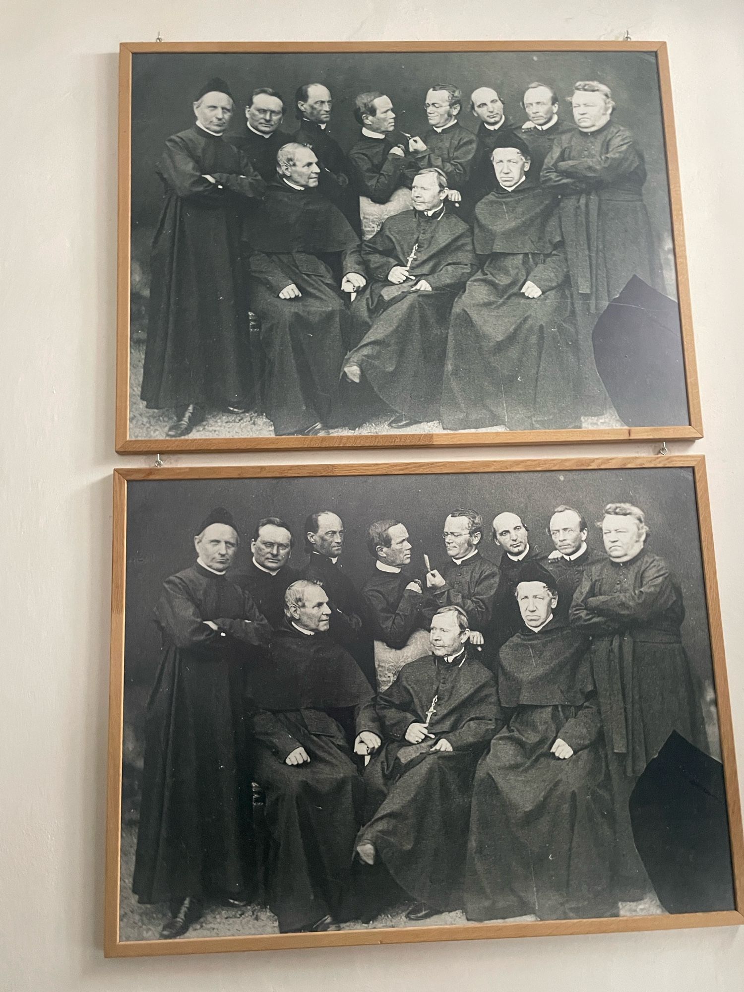 Different pic of a group  photo of different Augustinian monks with mendel looking at a little plant and being the center of attention
