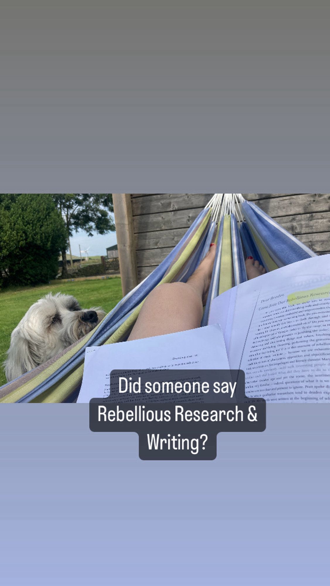 Bert the dog looks at my papers- I’m in a hammock