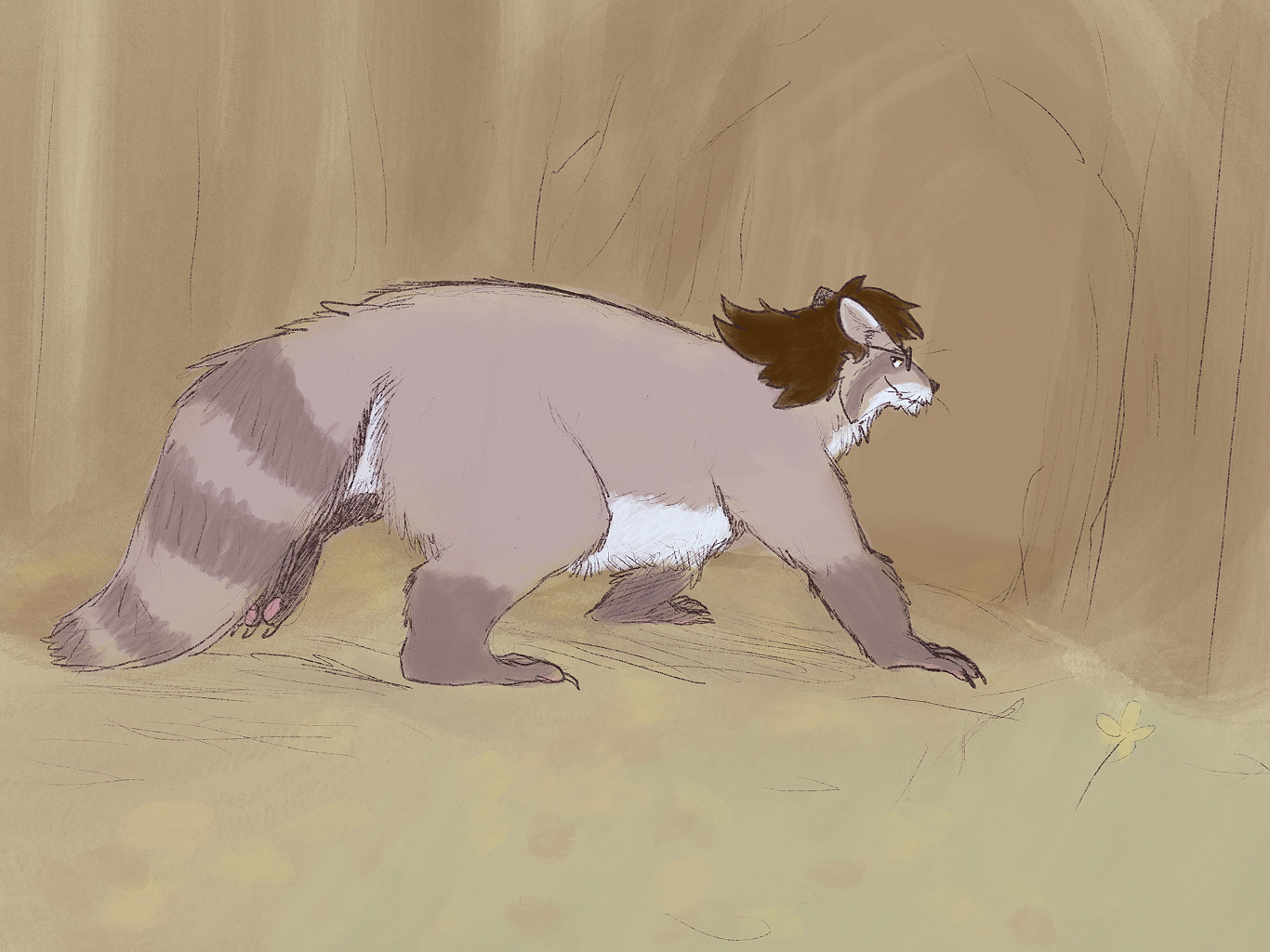 An anthropomorphic raccoon wearing glasses is walking on all fours, into a forest.