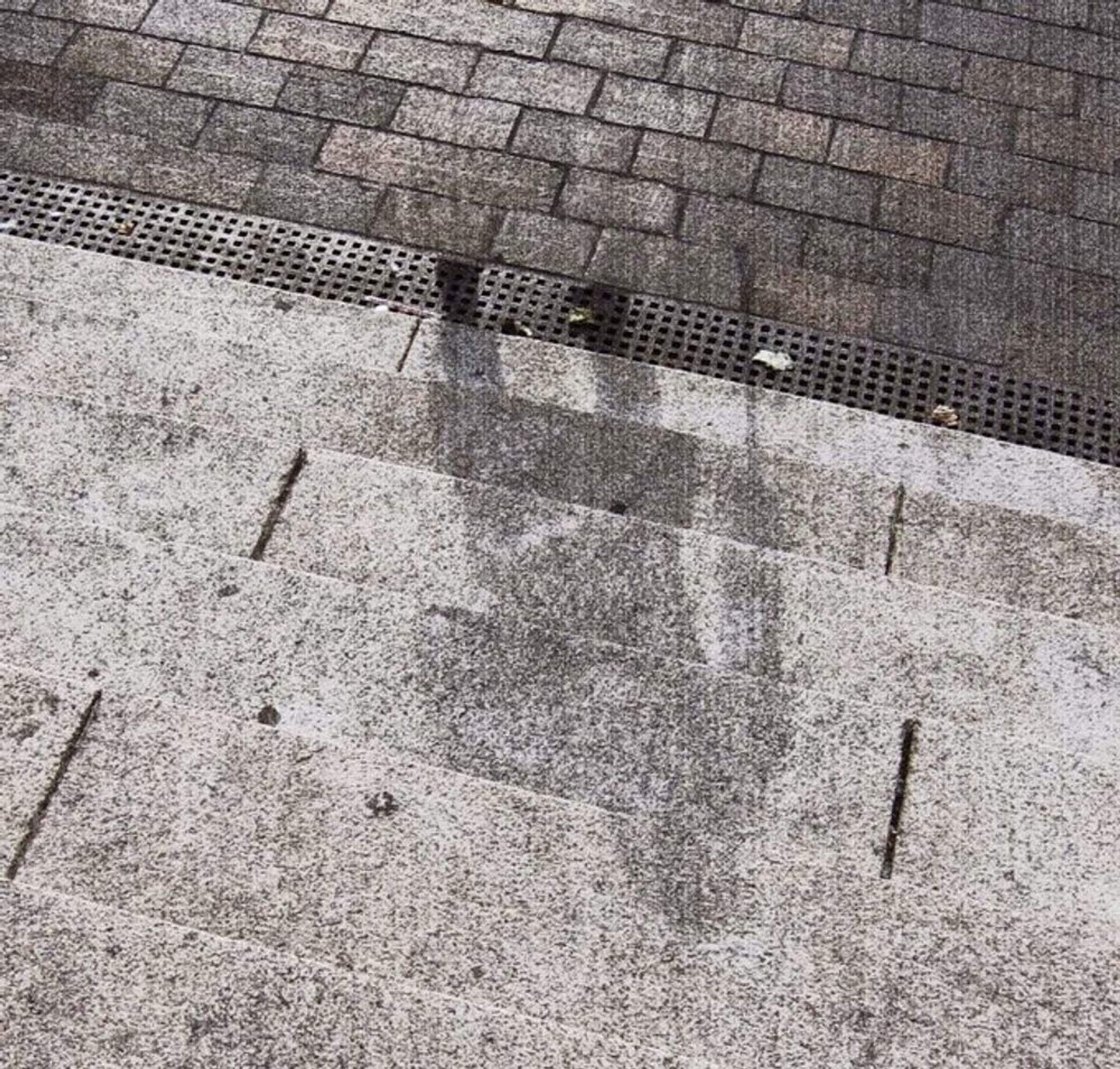 A photograph of a shadow of a person living in Hiroshima on August 6, 1945, who was vaporized while climbing the steps of a building while using a cane, leaving behind only their shadow imprinted on the steps (because their body momentarily blocked the light from the intense thermal flash, burning away everything on the steps that was not in shadow).