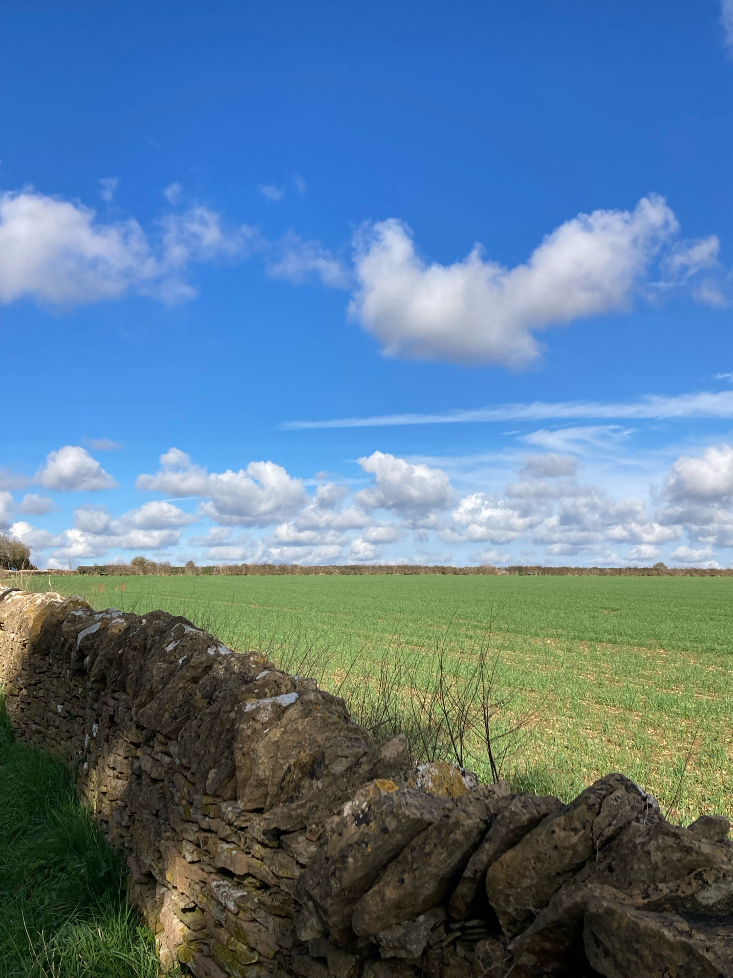 Green field blue sky fluffy white clouds