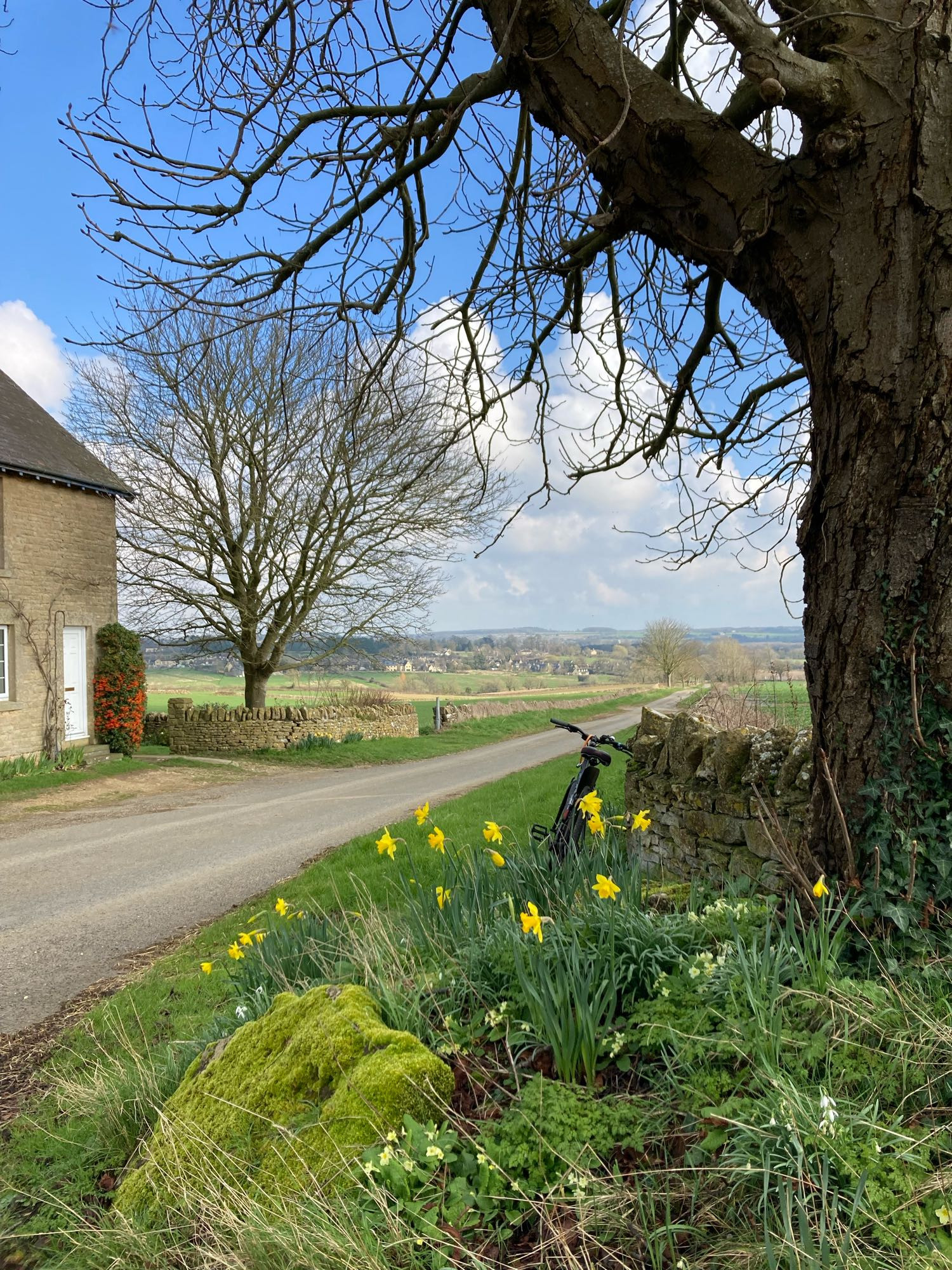 Daffodils primroses and village in valley