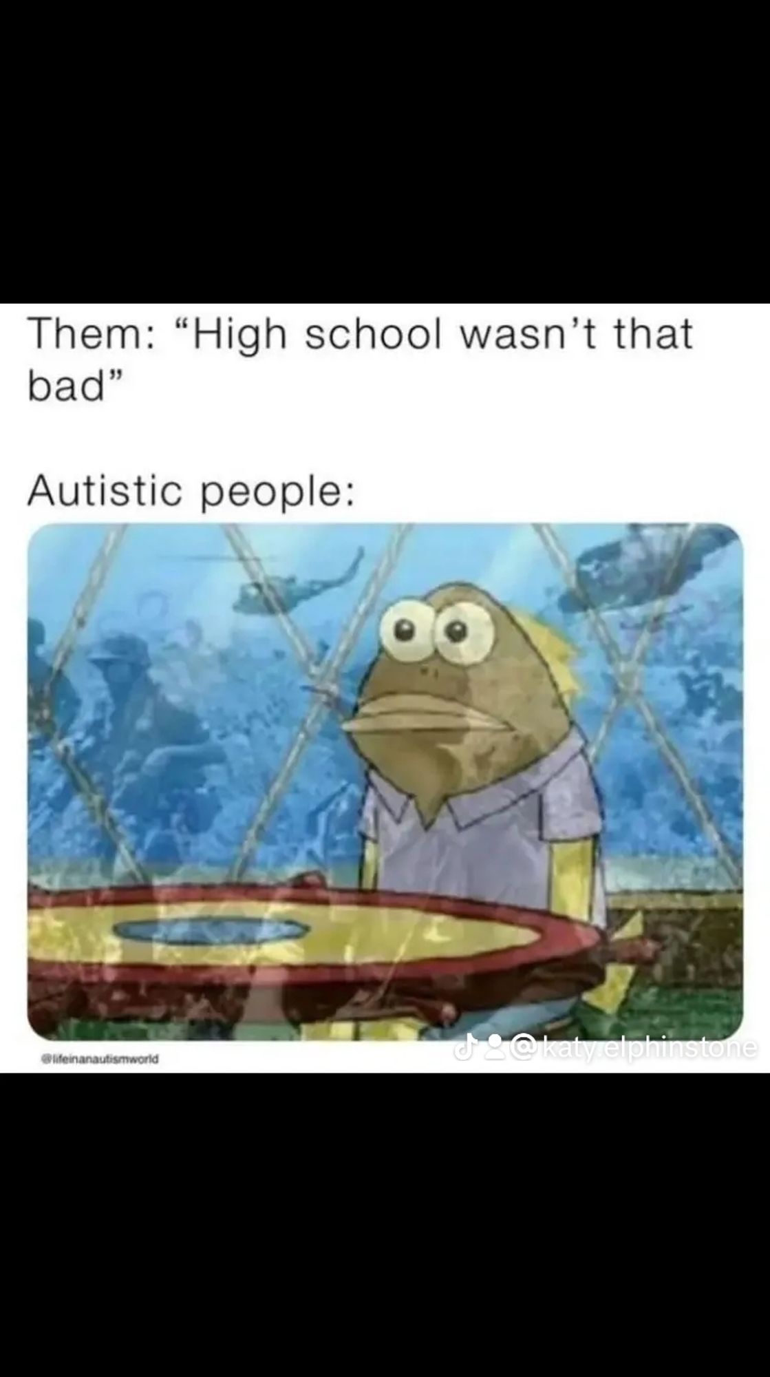 The text reads: 
Them: "high school wasn't that bad."
Autistic people:
(Then a picture of a depressed looking fish)