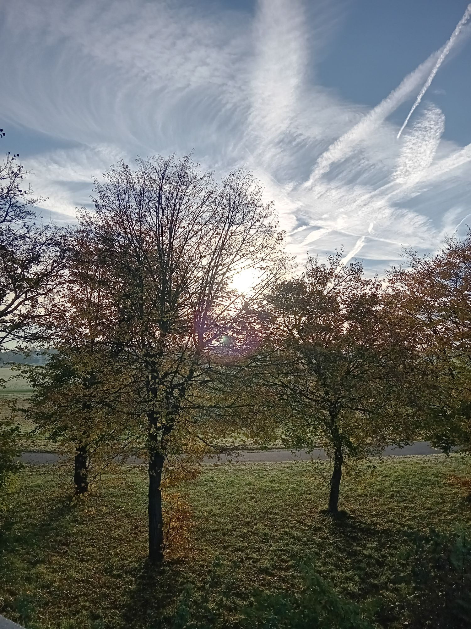 Blick von der Brpcke zu den Bäumen dahinter die Sonne und ein Wolkenschleier