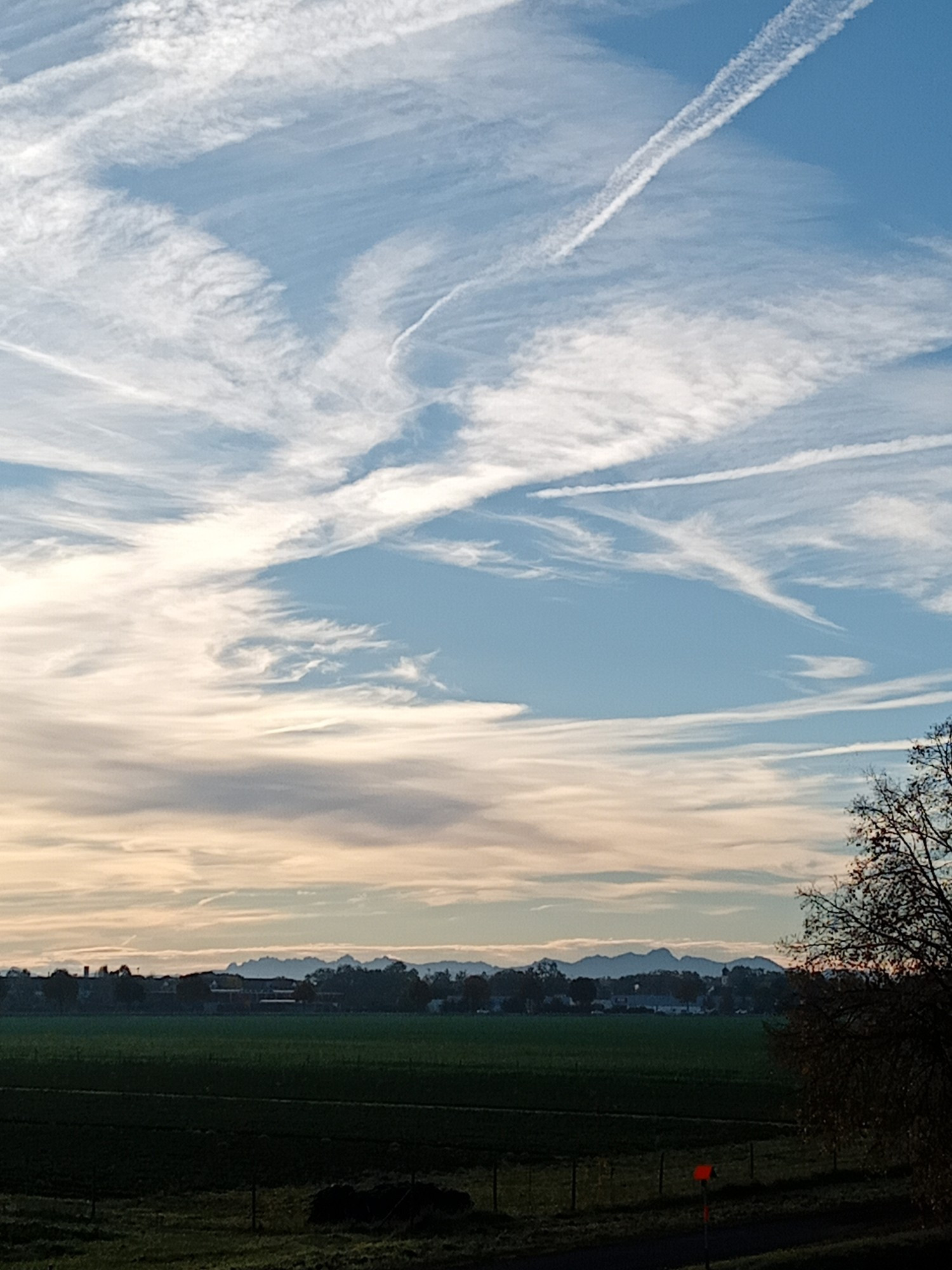 Blick von der Autobahnbrücke übers Feld zu den Alpen