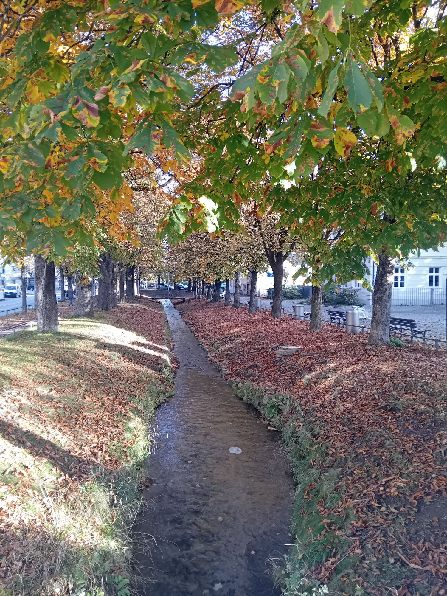 Hachinger Bach am Pfanzelplatz darüber die Kastanien Bäume mit leich verfärbten Blättern