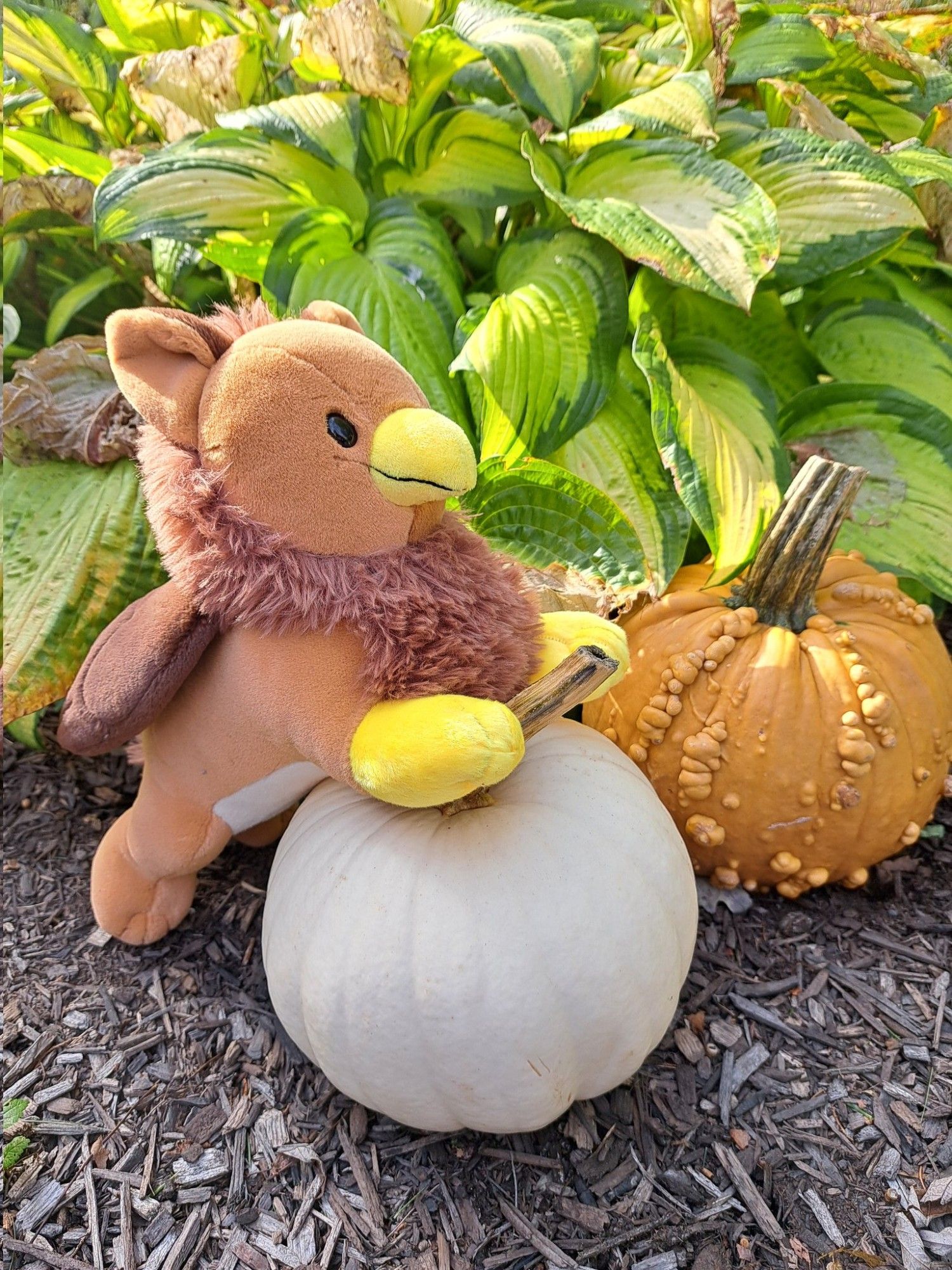 cute brown plush gryphon leaning on a pumpkin