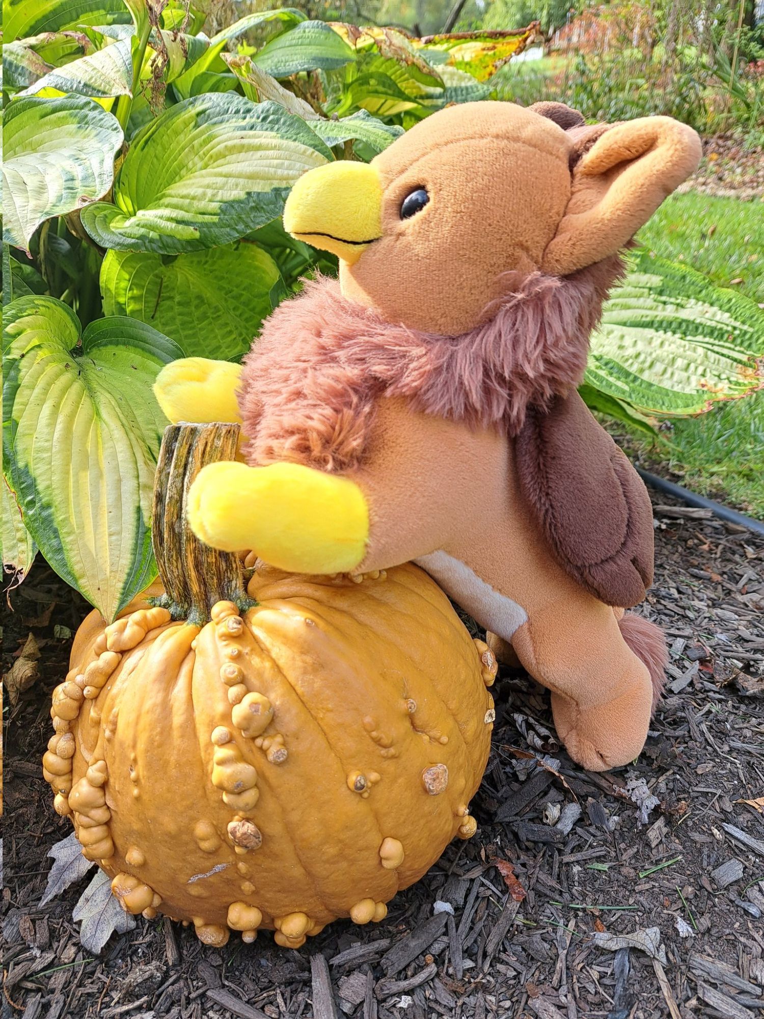 cute brown plush gryphon leaning on a pumpkin