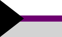 demisexual flag: black triangle pointing from the left side, to horizontal bars of white & grey with a thin stripe of purple between.