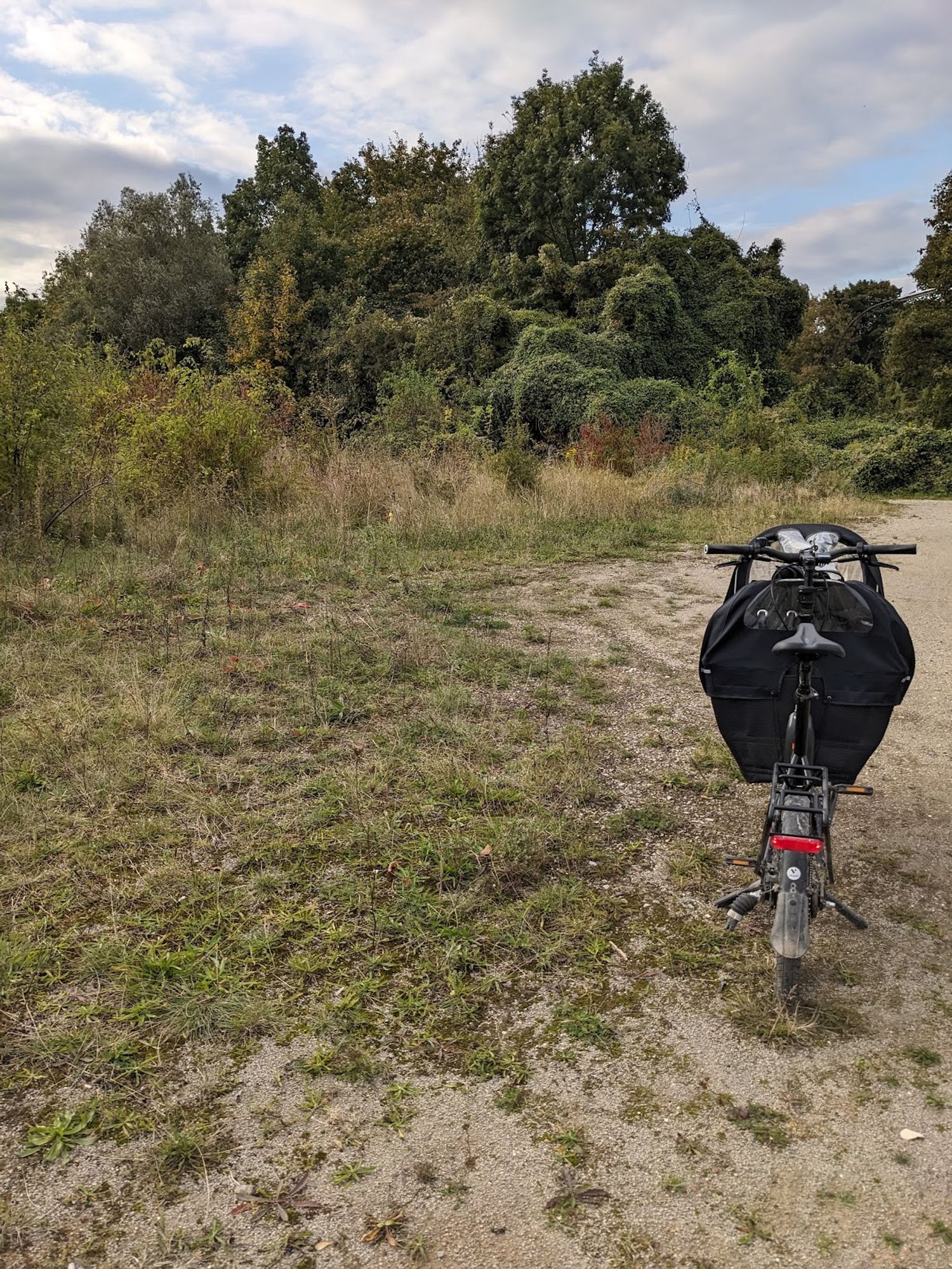 Cargo bike on a disused turning area with gravel and ruderal vegetation.