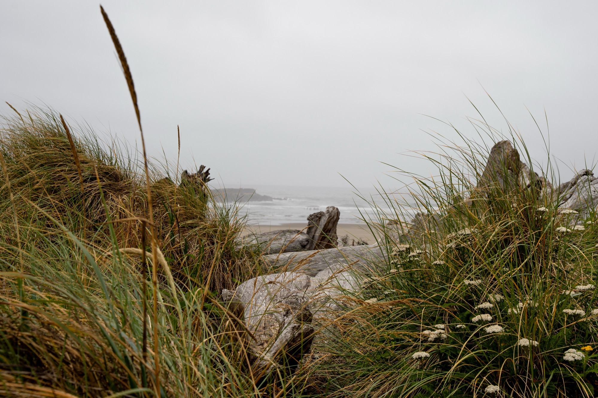 Oregon coast 