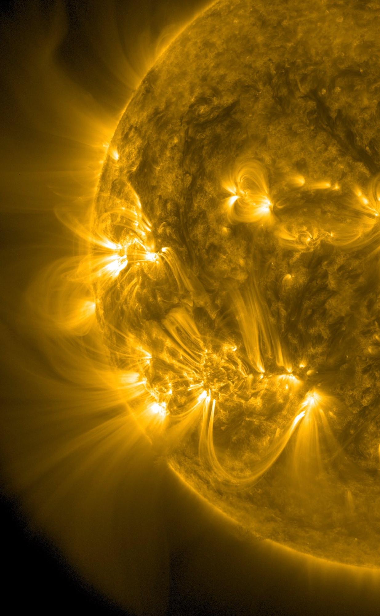Der linke Teil der erdzugewandten Seite der Sonne in gelber Farbe. Von Aktiven Regionen, die wie helle Flecken aussehen, gehen Strahlen in die Umgebung aus - teils in großen Bögen entlang der Magnetfelder der Sonne.