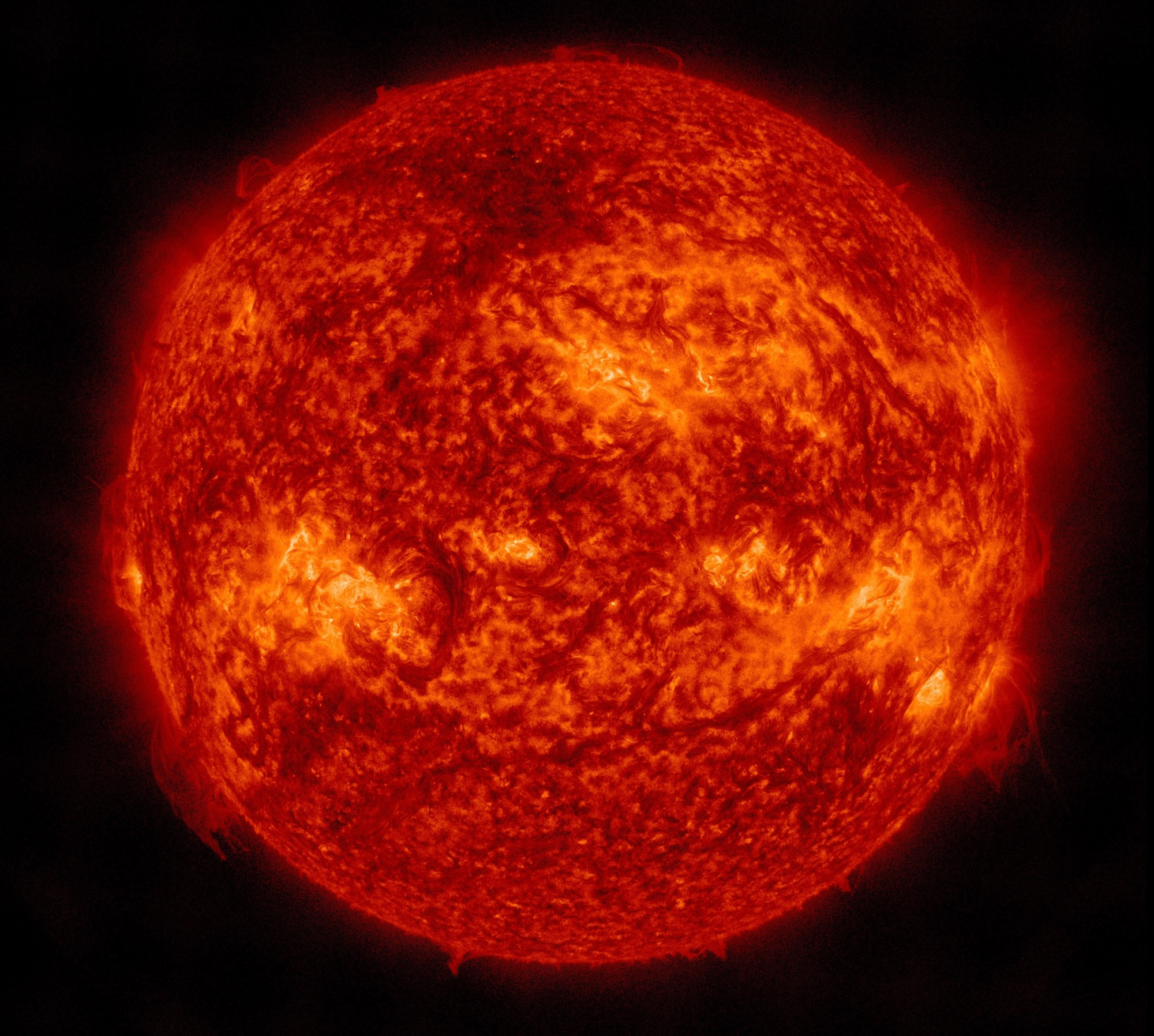 Die ganze erdzugewandte Seite der Sonne in orangeroter Darstellung. In Äquatornähe mehrere Aktive Regionen in gelber Farbe.