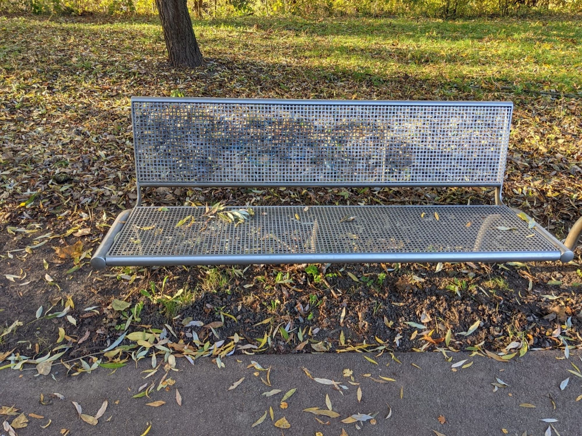 Das Bild zeigt eine Parkbank aus Metallgitter, die von Herbstlaub umgeben ist. Einige Blätter liegen auch auf der Bank, und im Hintergrund sieht man eine grasbewachsene Fläche mit einem Baum.