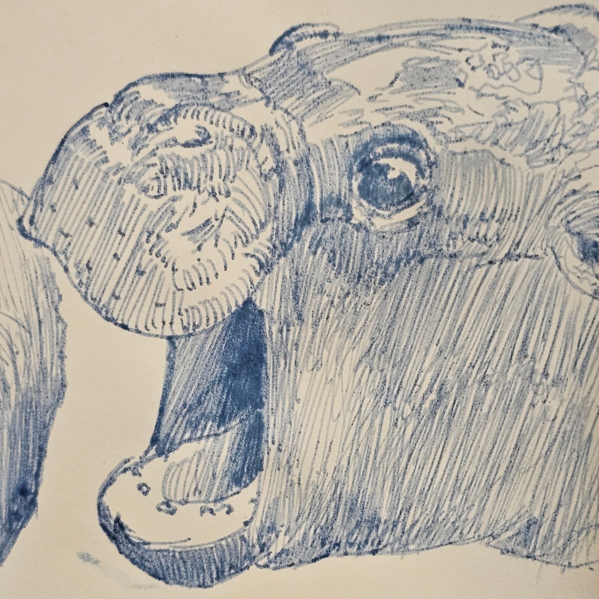 A pen drawing of- NOOO MOO DENG DON'T EAT THAT 😭